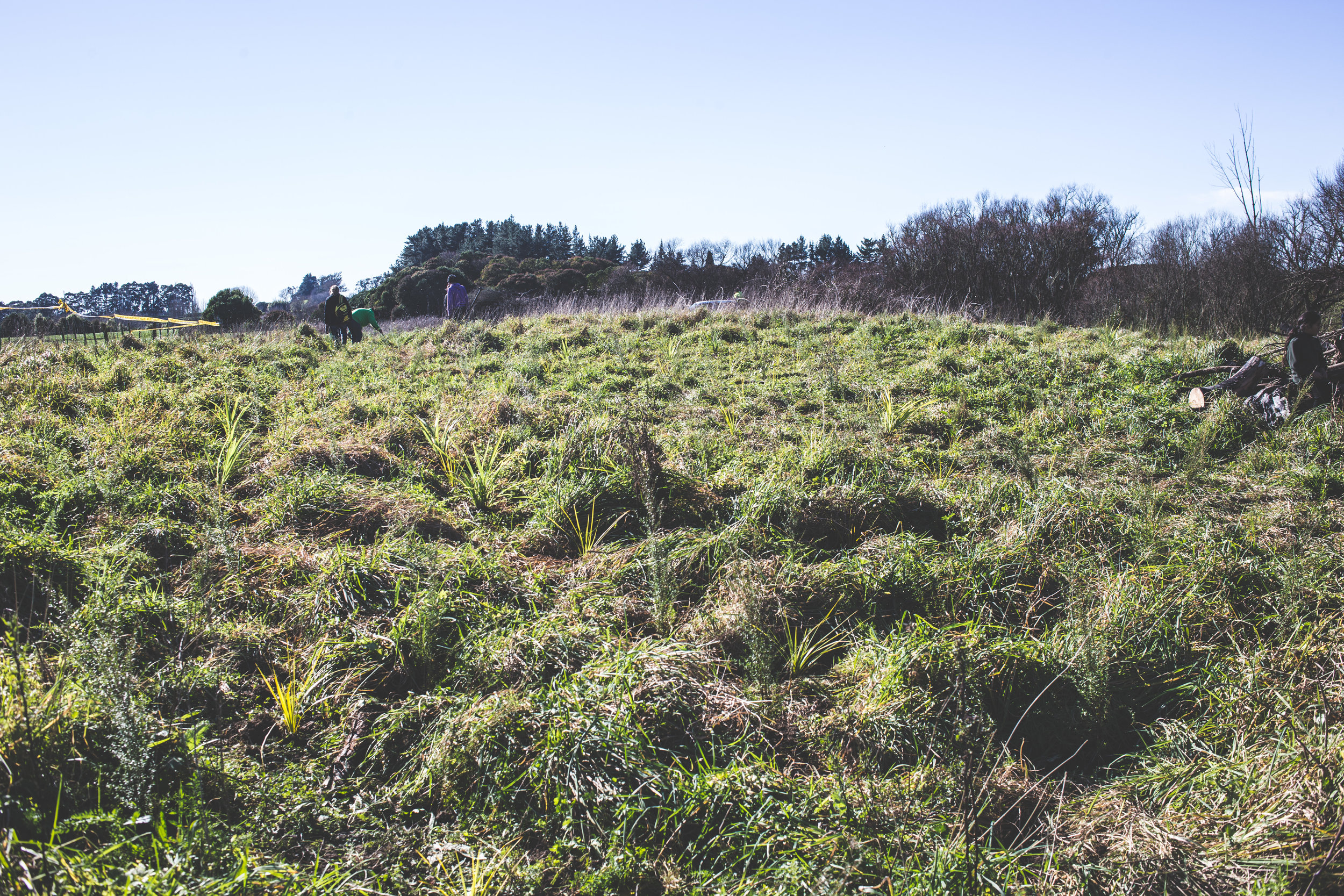 PLanting Season17-96.jpg