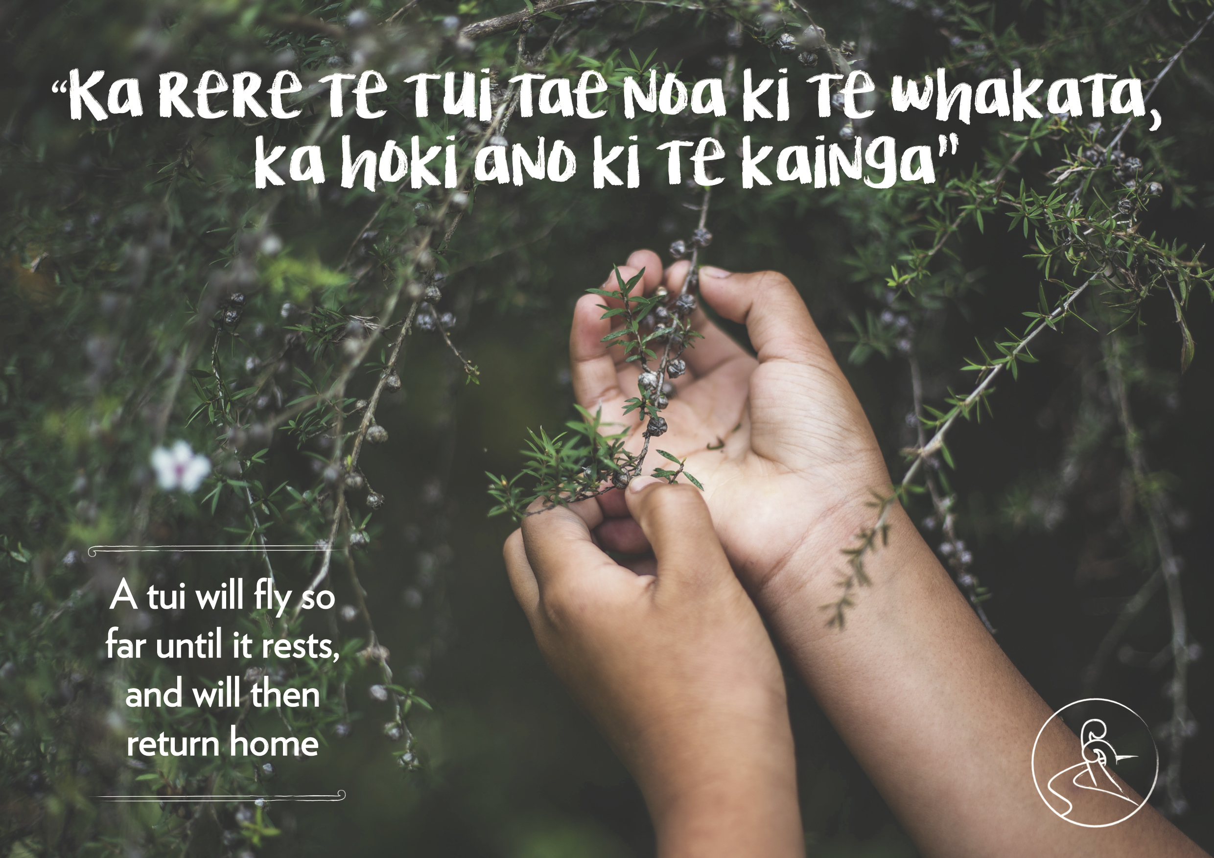 This whakatauki speaks about the whakapapa/geneaology of plants, and the necessity of growing and maintaining those plants which have always grown there. This inturn will ensure that the mauri or life force of the plant is not spoiled, by not having the right whakapapa unique to that area. Our elders put this simply by saying that, as far as a Tui may fly and return is the boundary of its whakapapa.