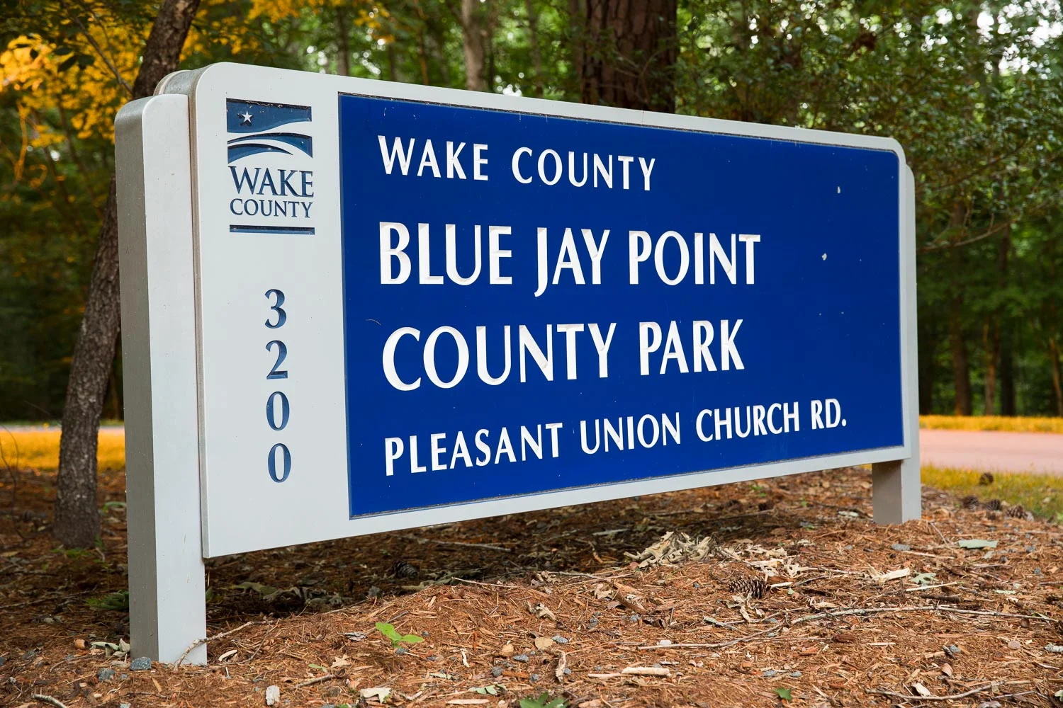Blue_Jay_Point-26.jpg