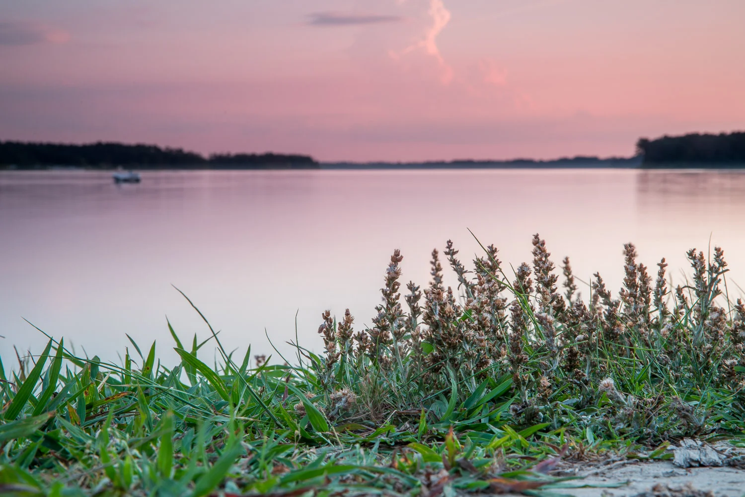 Harris_Lake_Sunset-8.jpg