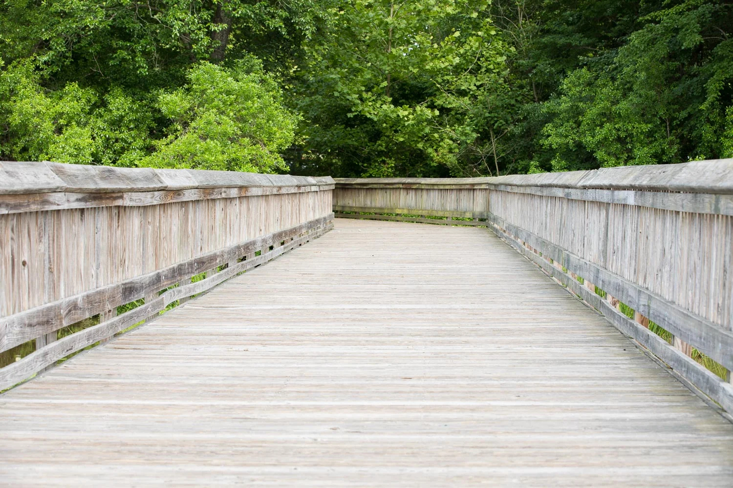 Yates_Mill-55.jpg