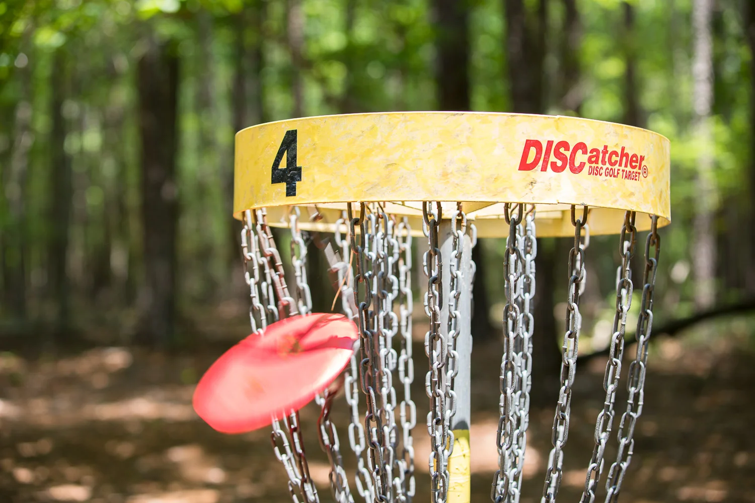 Harris_Disc_Golf-7.jpg