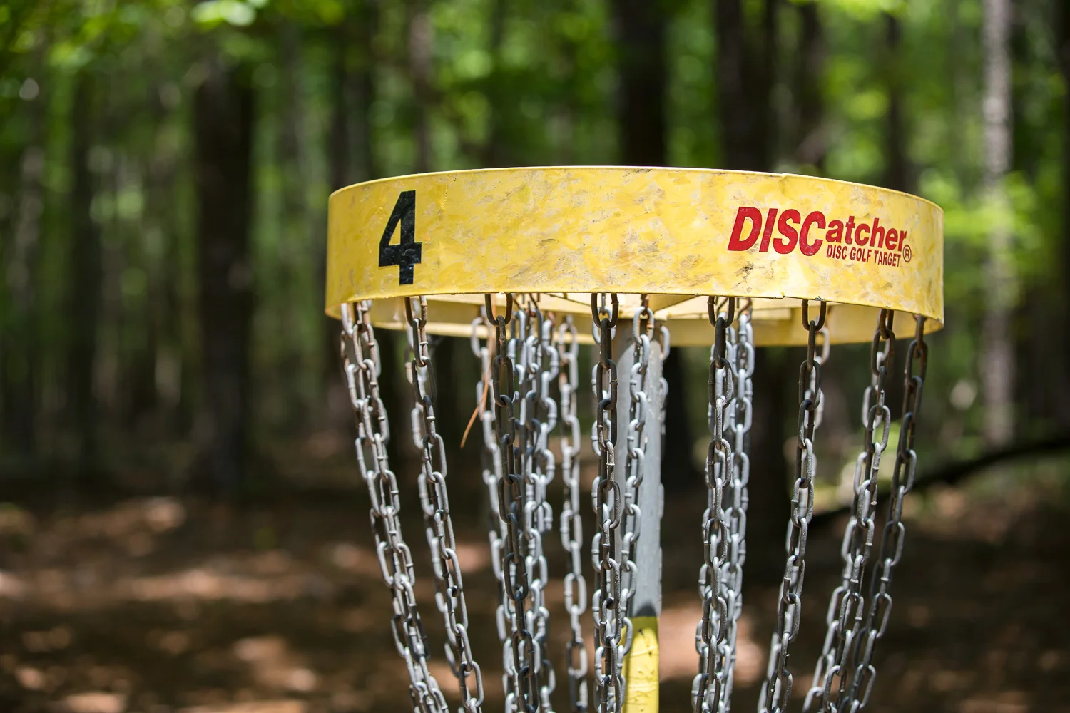 Harris_Disc_Golf-8.jpg