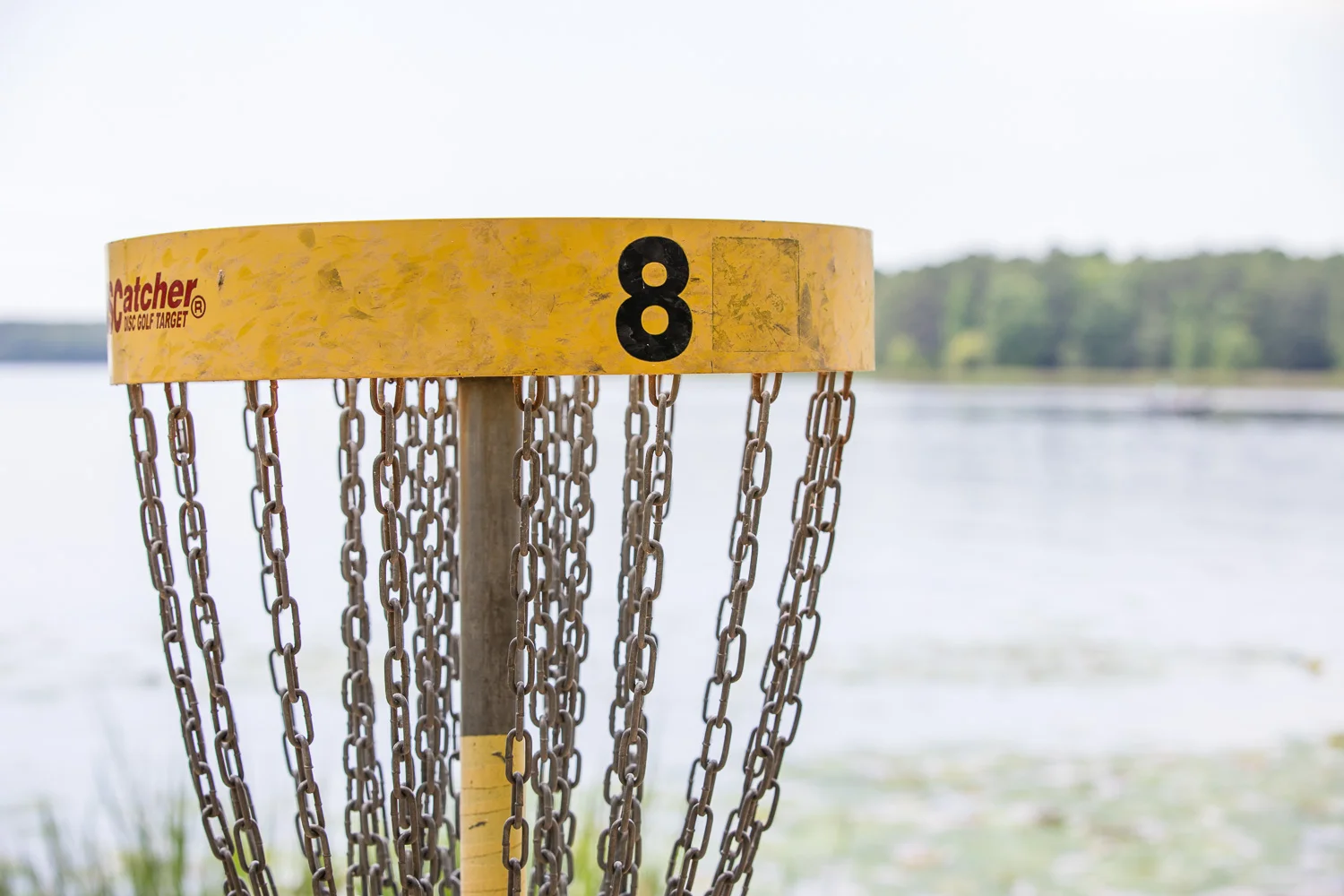 Harris_Disc_Golf-19.jpg