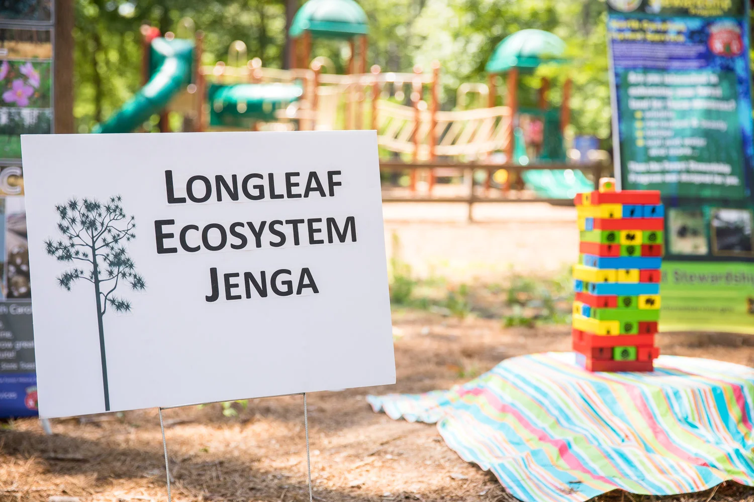 Longleaf_Festival-51.jpg