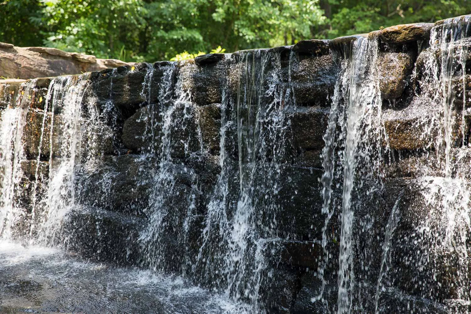 Yates_Mill_Kids-11.jpg