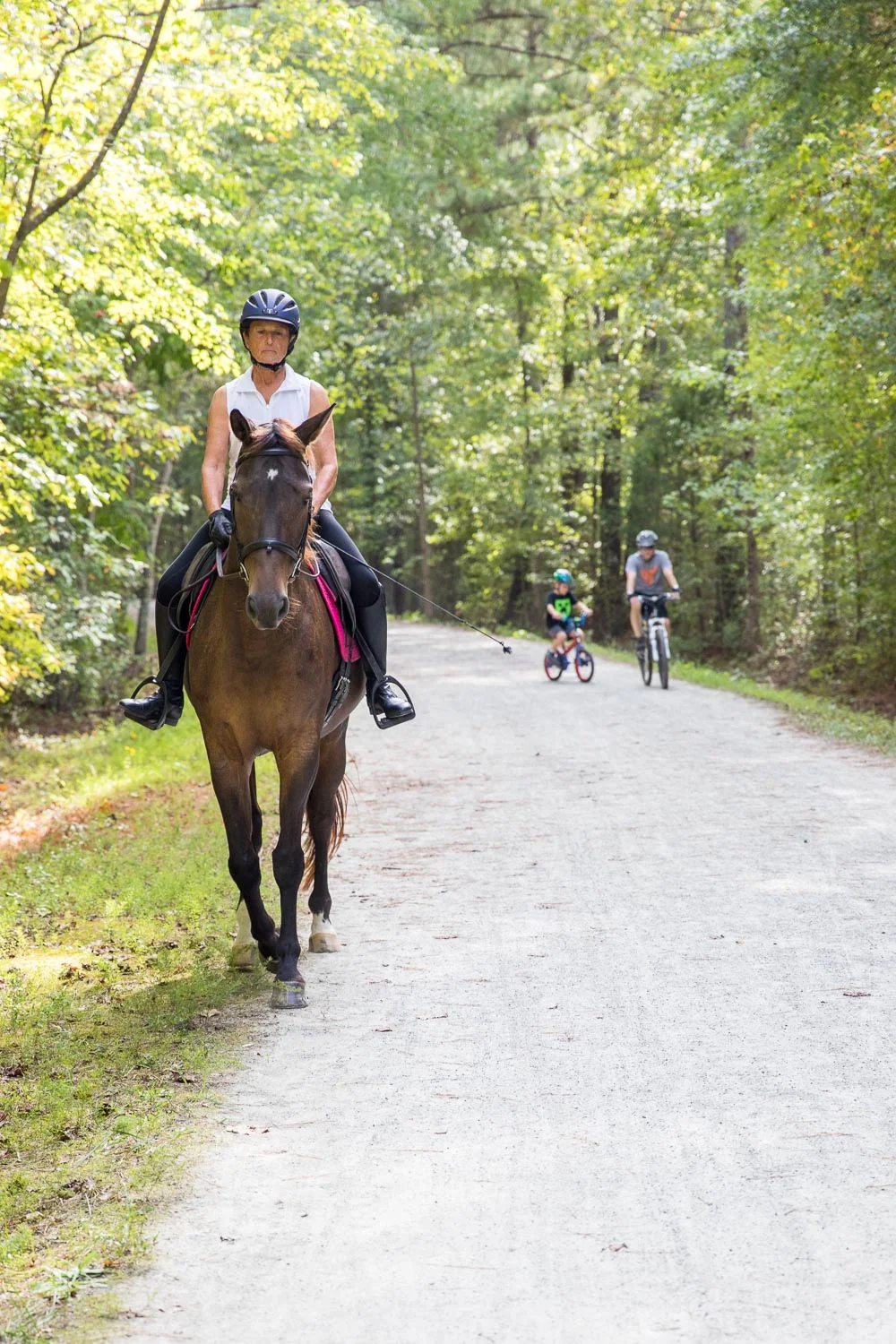 ATT_horses-11.jpg