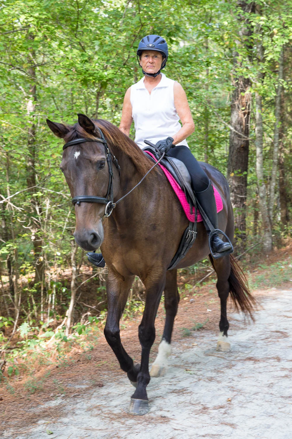 ATT_horses-21.jpg