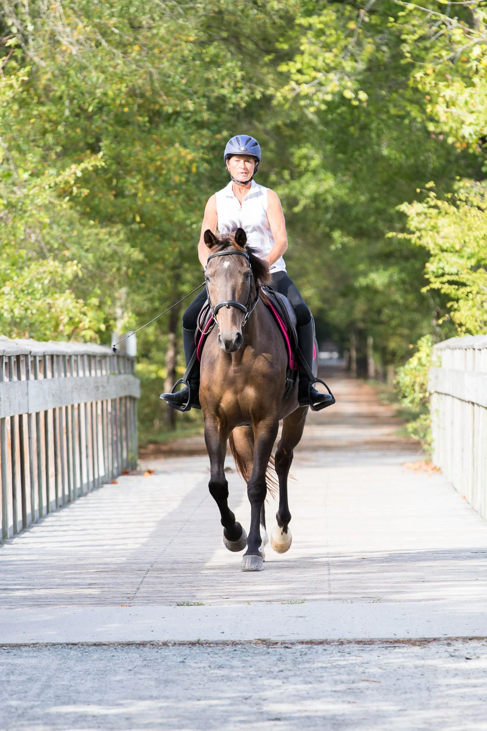 ATT_horses-24.jpg