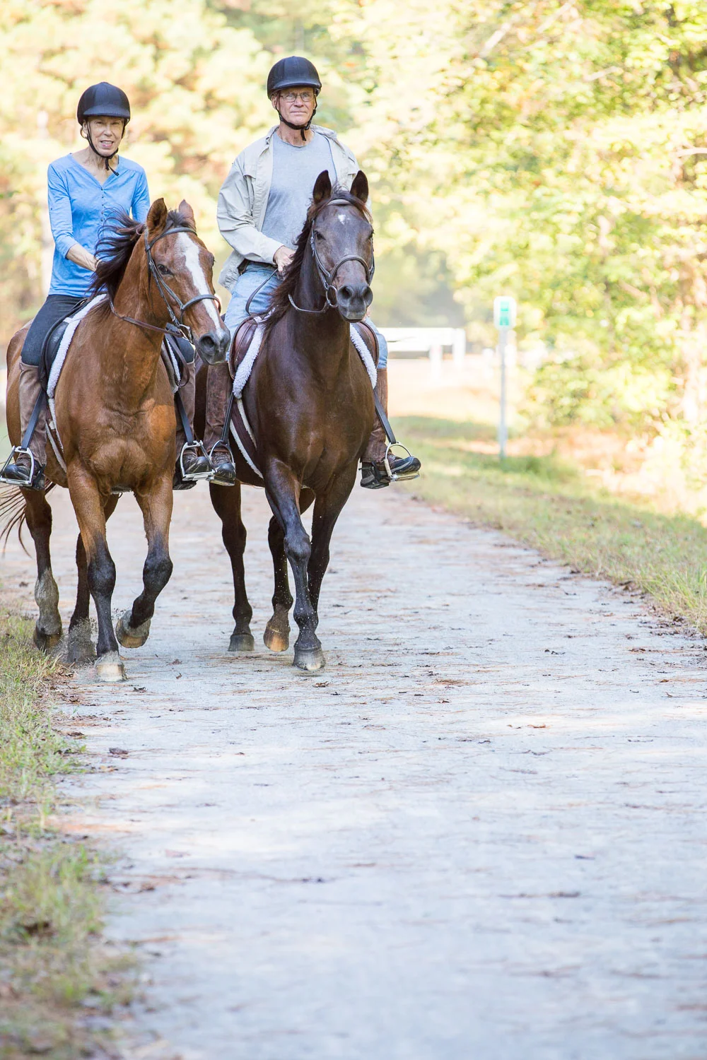 ATT_horses-32.jpg