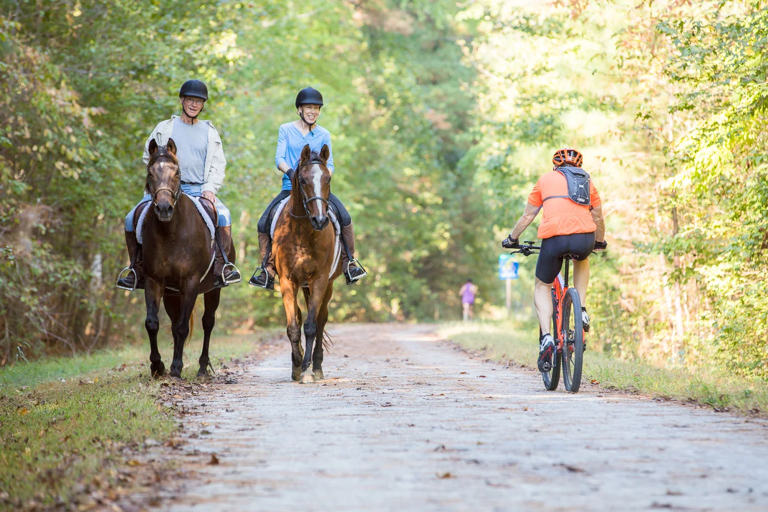 ATT_horses-35.jpg