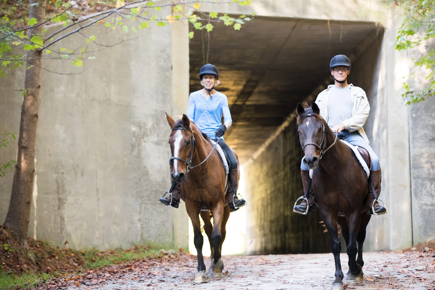 ATT_horses-51.jpg
