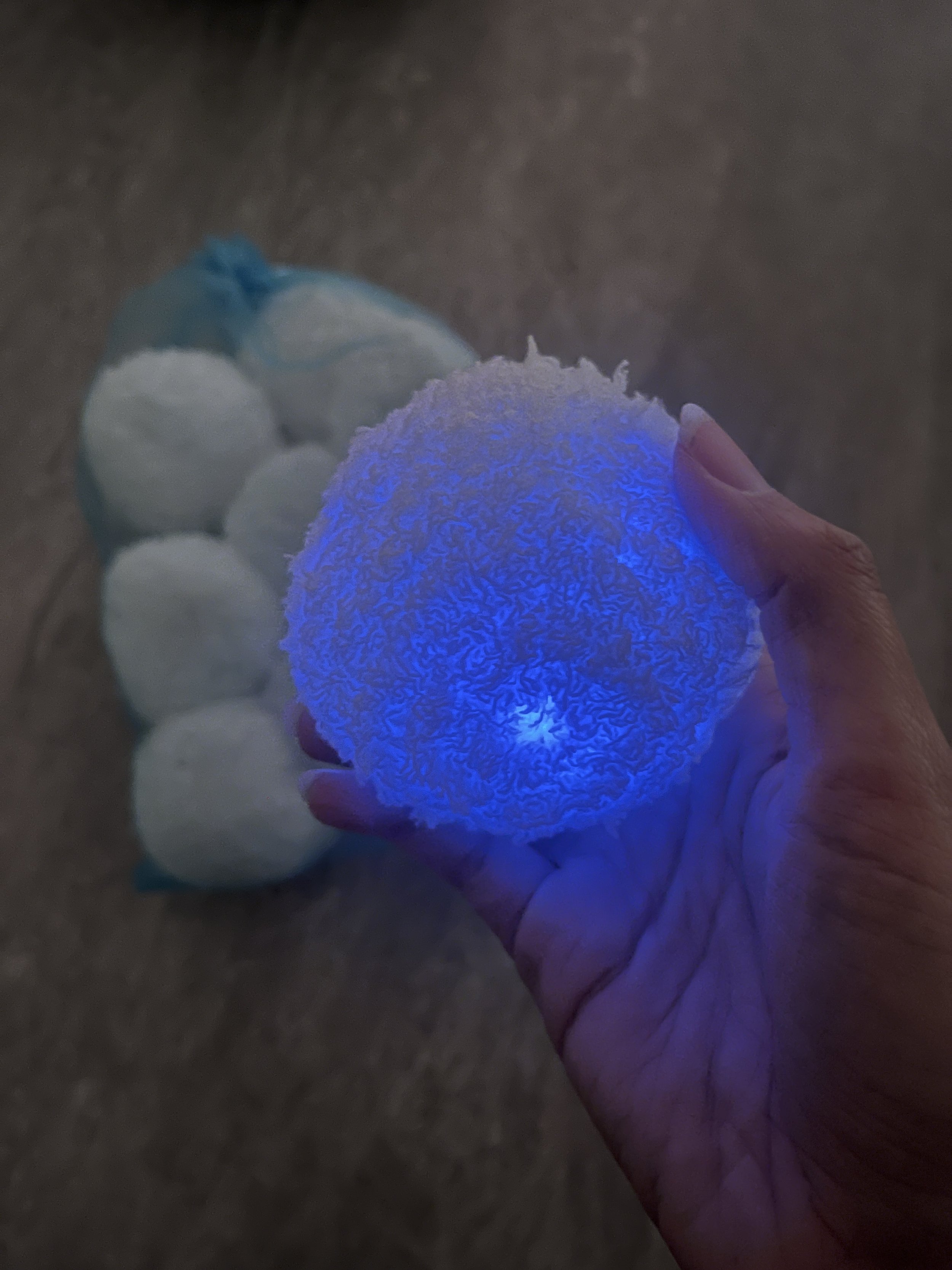 IMG_0132 - Tyra Woods.jpeg