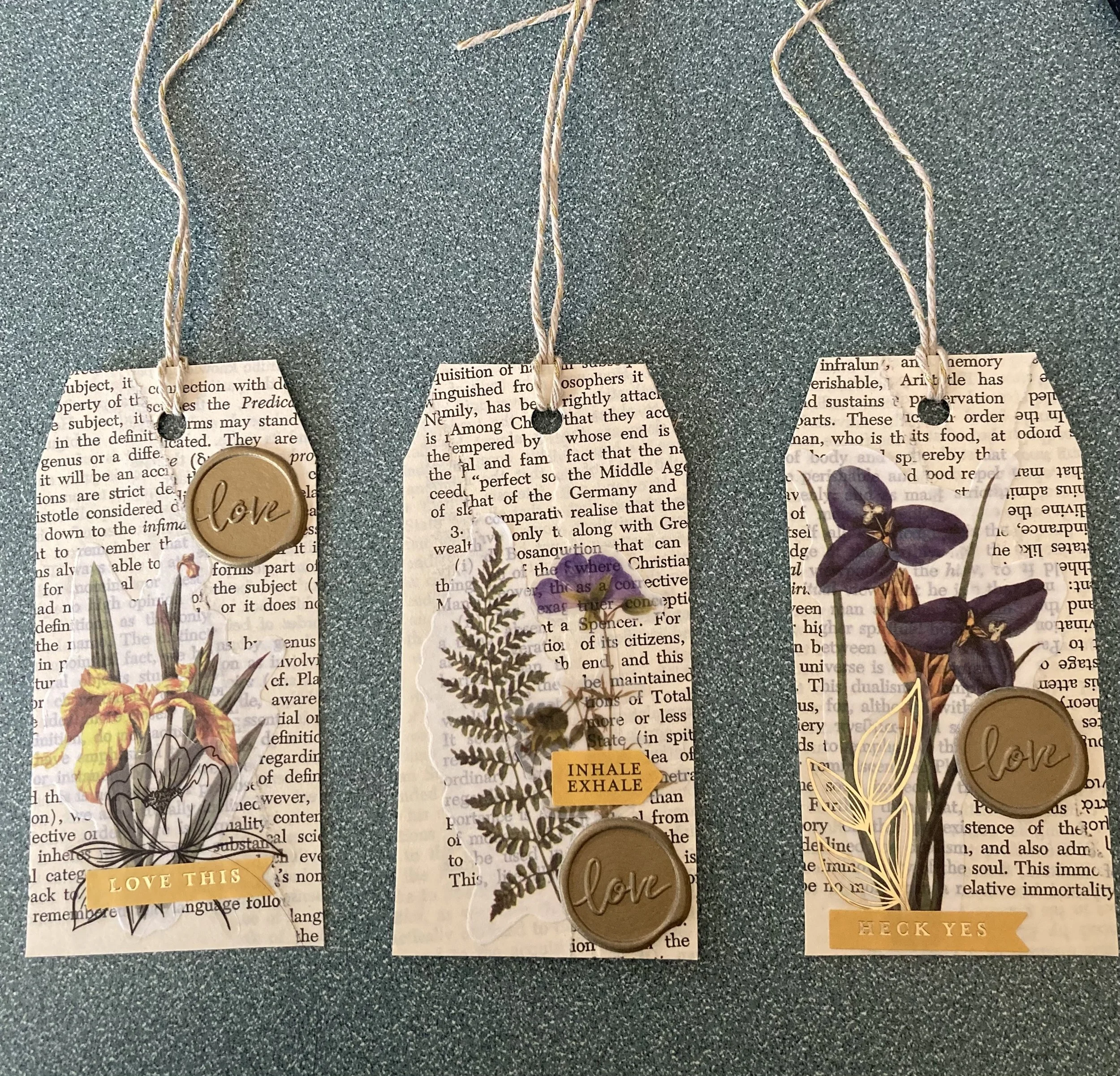 IMG_1703 - Bethany Leavey.jpeg