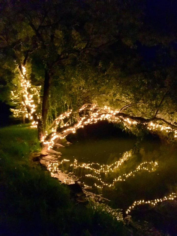 lights in pond.jpg