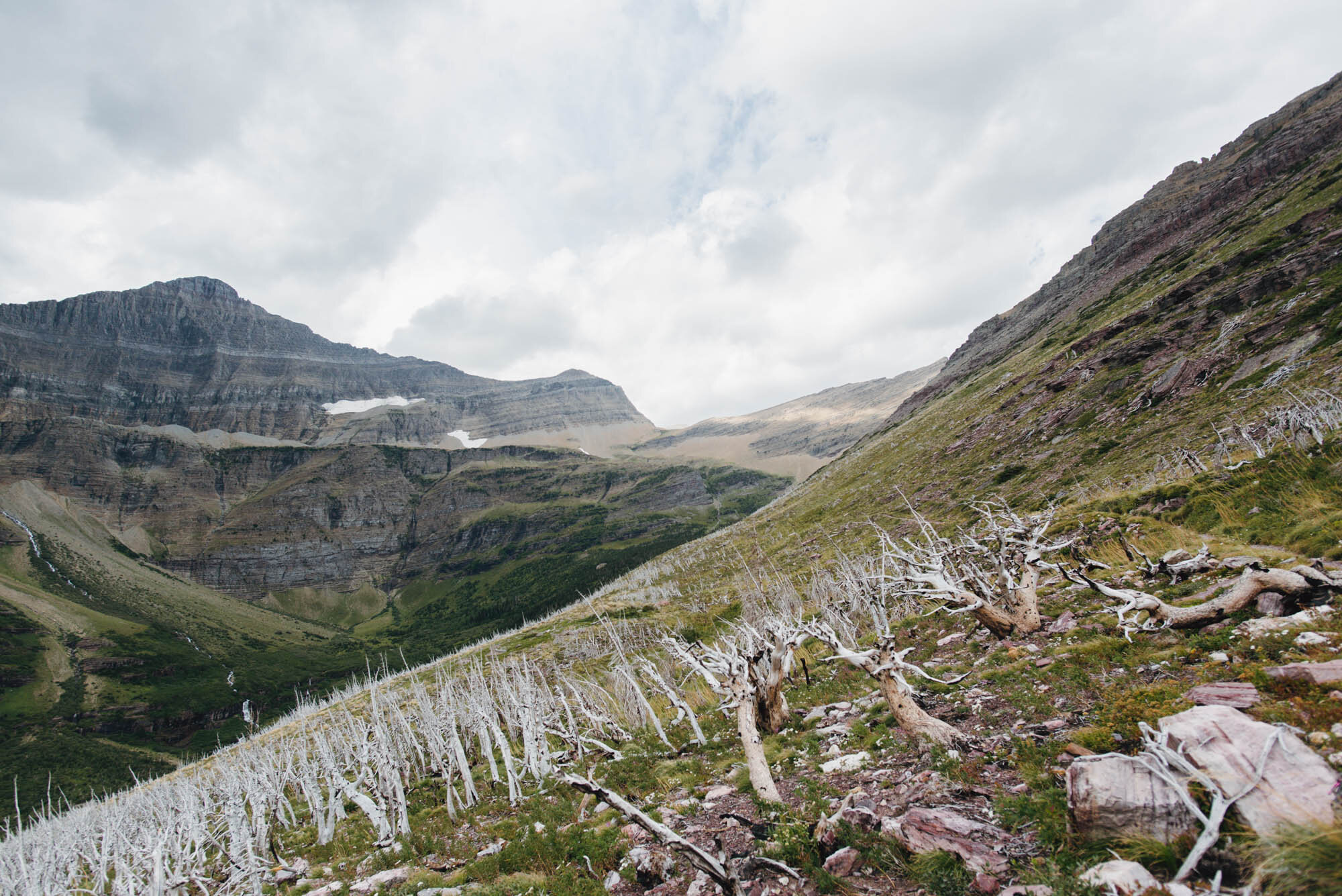 Siyeh Pass Glacier National Park