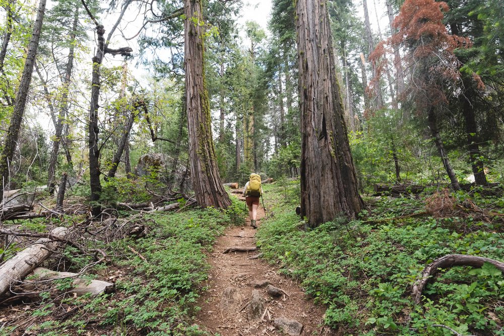 Lily-Tang-Pohono-Trail-Taft-Point-Yosemite-8202.jpg