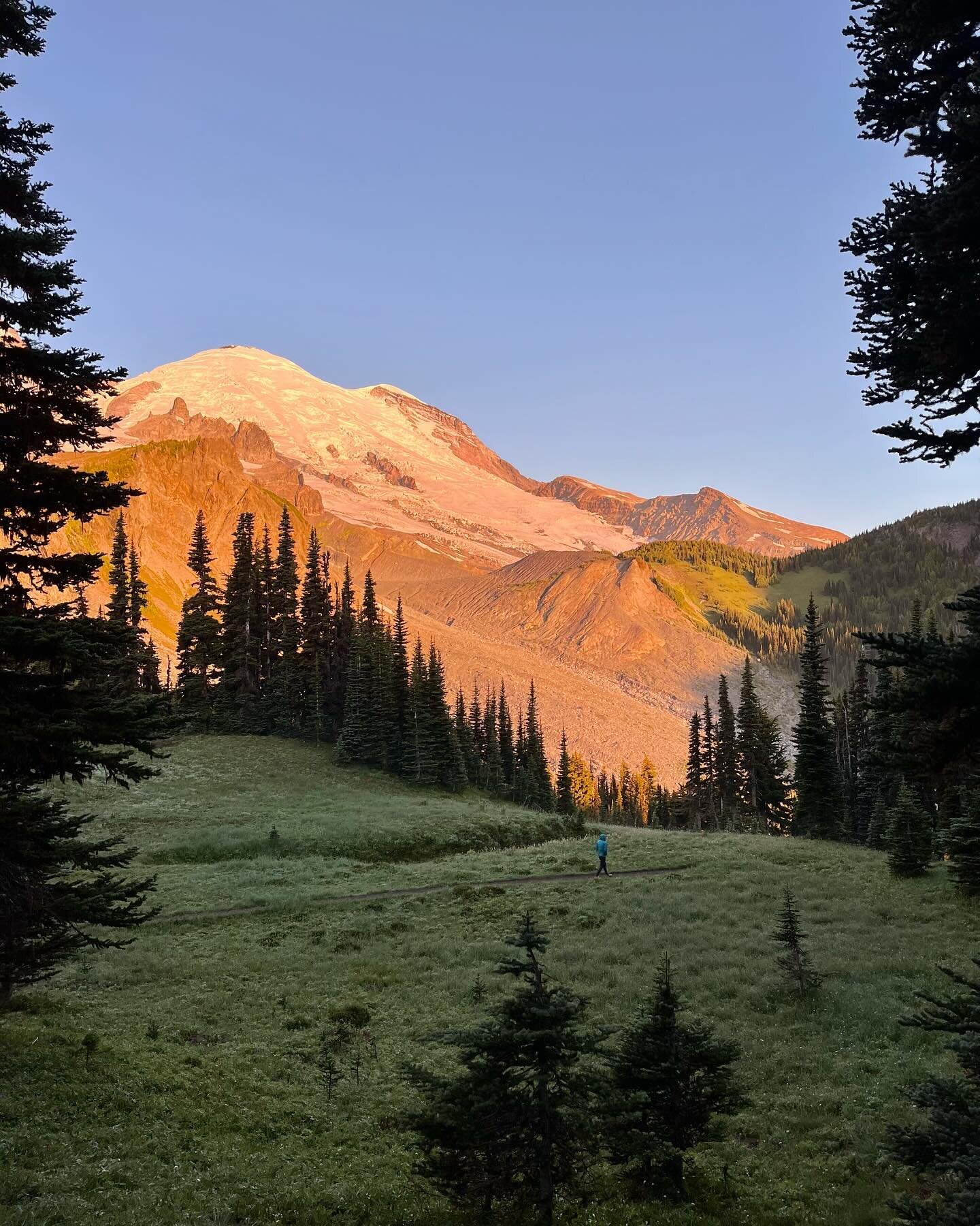 How does one even begin to describe the beauty of the Wonderland Trail? 8 days, 93 miles, circumnavigating the iconic Mt. Rainier that can be seen all the way from Seattle, looming over the skyline. 

The Wonderland Trail is the longest backpacking t