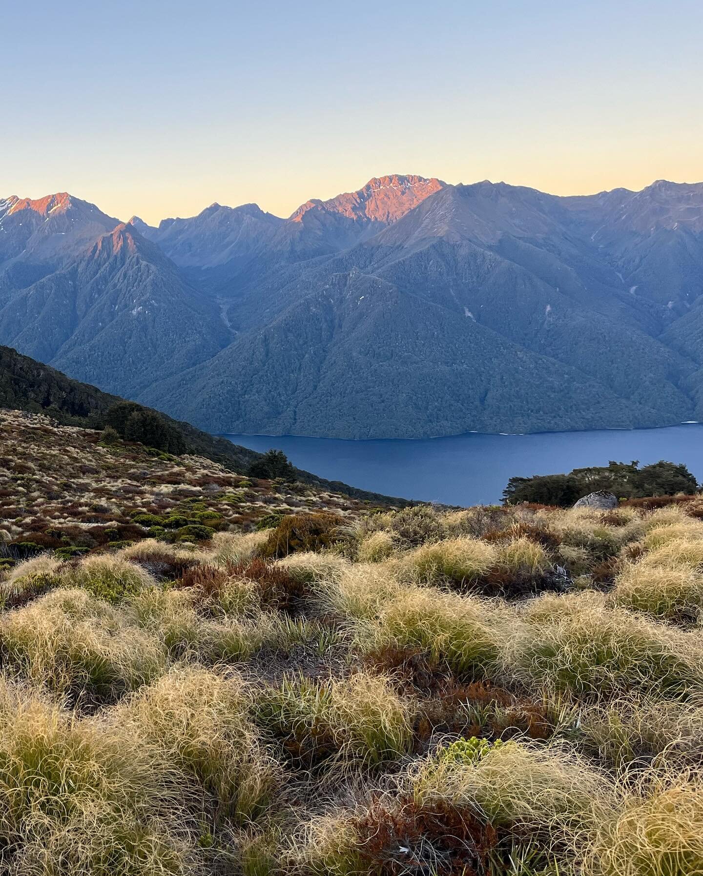 3 days on the Kepler track. Spoiled by ridge views and bird sightings.

1 - sunrise from Luxmore Hut
2 - Lake Te Anau 
3 - classic ridge walking with views down Iris Burn valley 
4 - kea, the only alpine parrot. They are super intelligent and also lo