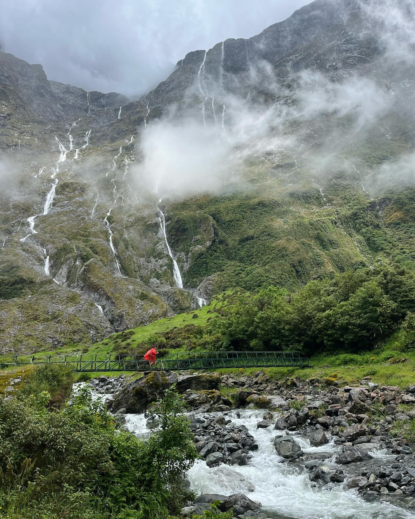 4 days of rain, fog, sun, and sandflies on the Milford track. The Milford track starts at one end of Lake Te Anau and ends at Milford Sound.

We started Milford the day after finishing Kepler. Milford and Kepler are both Fiordland National Park Great