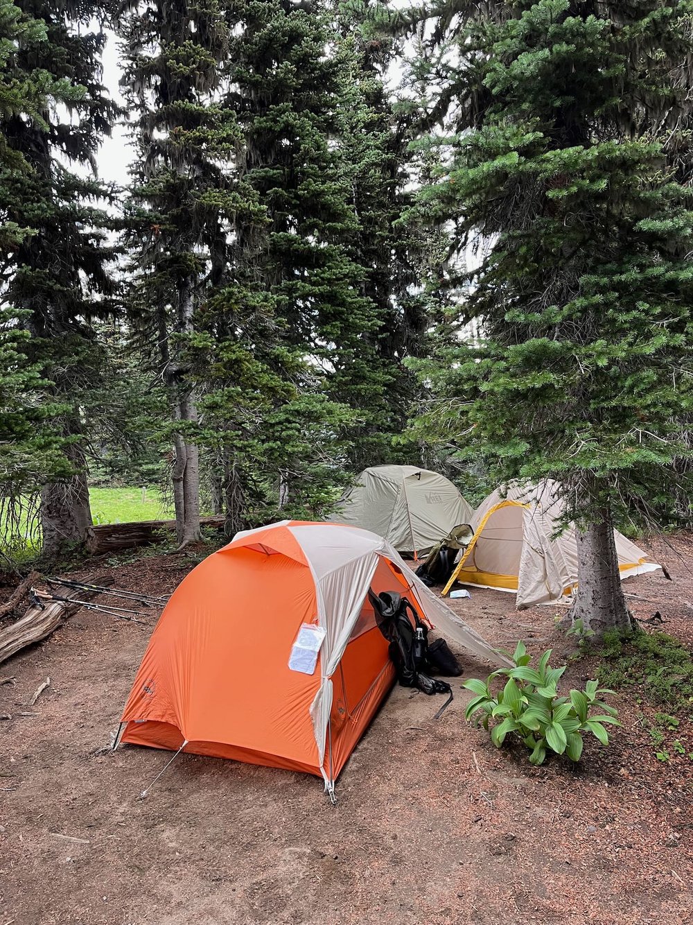 Wonderland-Trail-Campsites-Mount-Rainier-National-Park-Washington - 5.jpeg