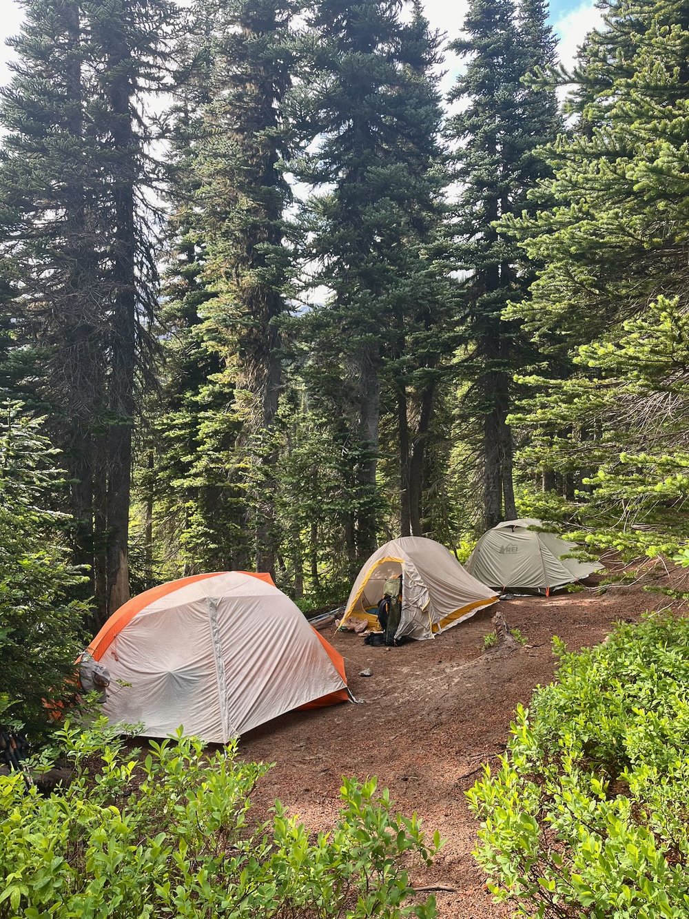 Wonderland-Trail-Campsites-Mount-Rainier-National-Park-Washington - 4.jpeg