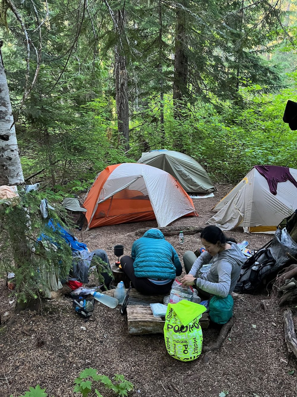 Wonderland-Trail-Campsites-Mount-Rainier-National-Park-Washington - 3.jpeg