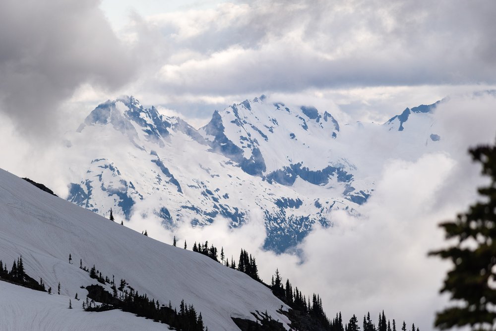 Lily-Tang-Panorama-Ridge-Garibaldi-Provincial-Park-Whistler-BC-9516.jpg