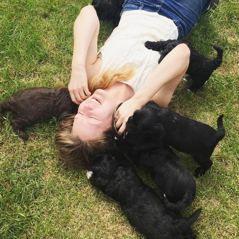 Claire_and_Nate_puppies_summer_2015.jpg