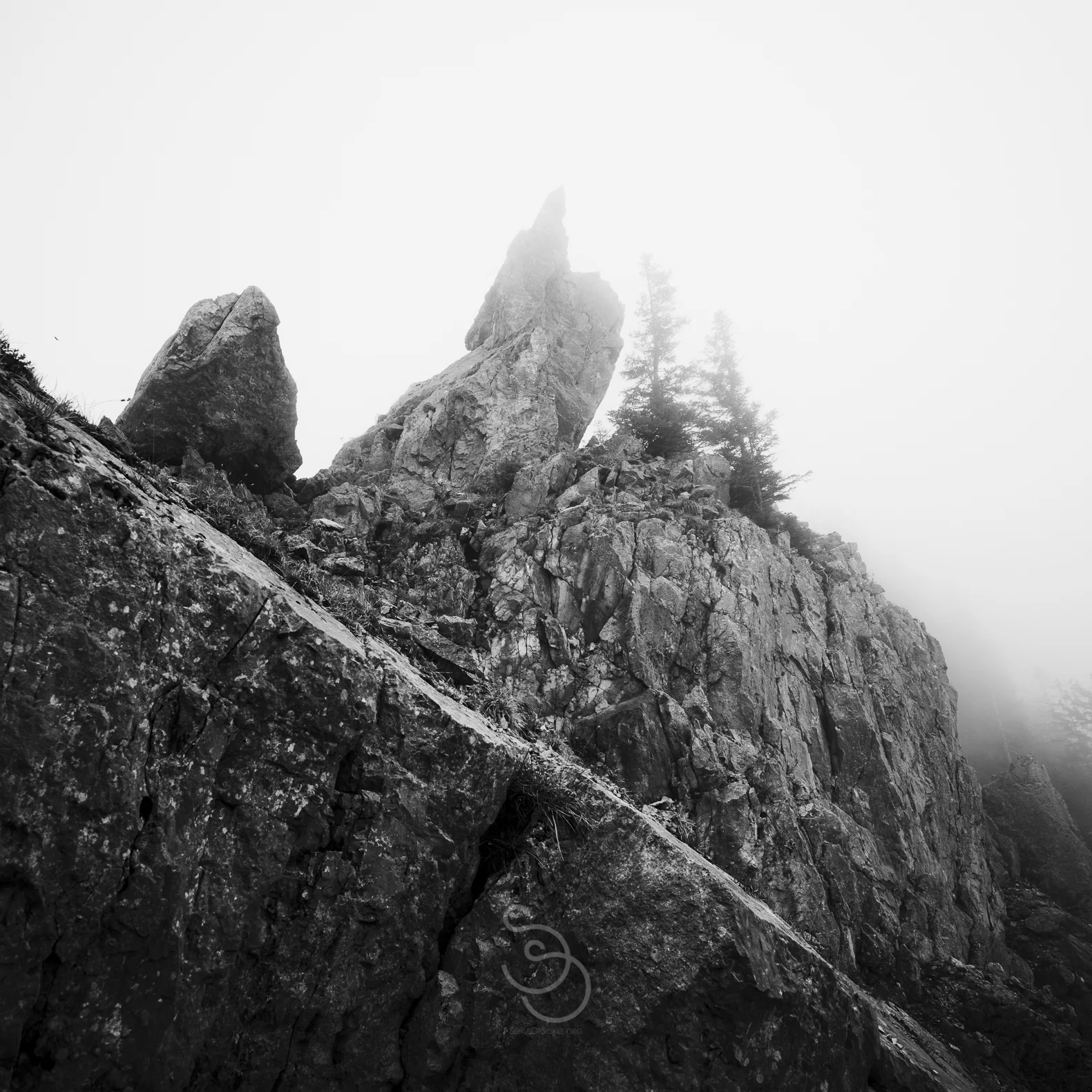 The infinte fog