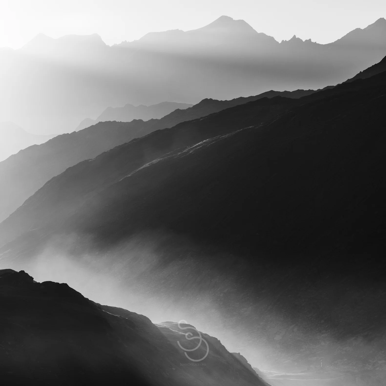 Light Silhouette