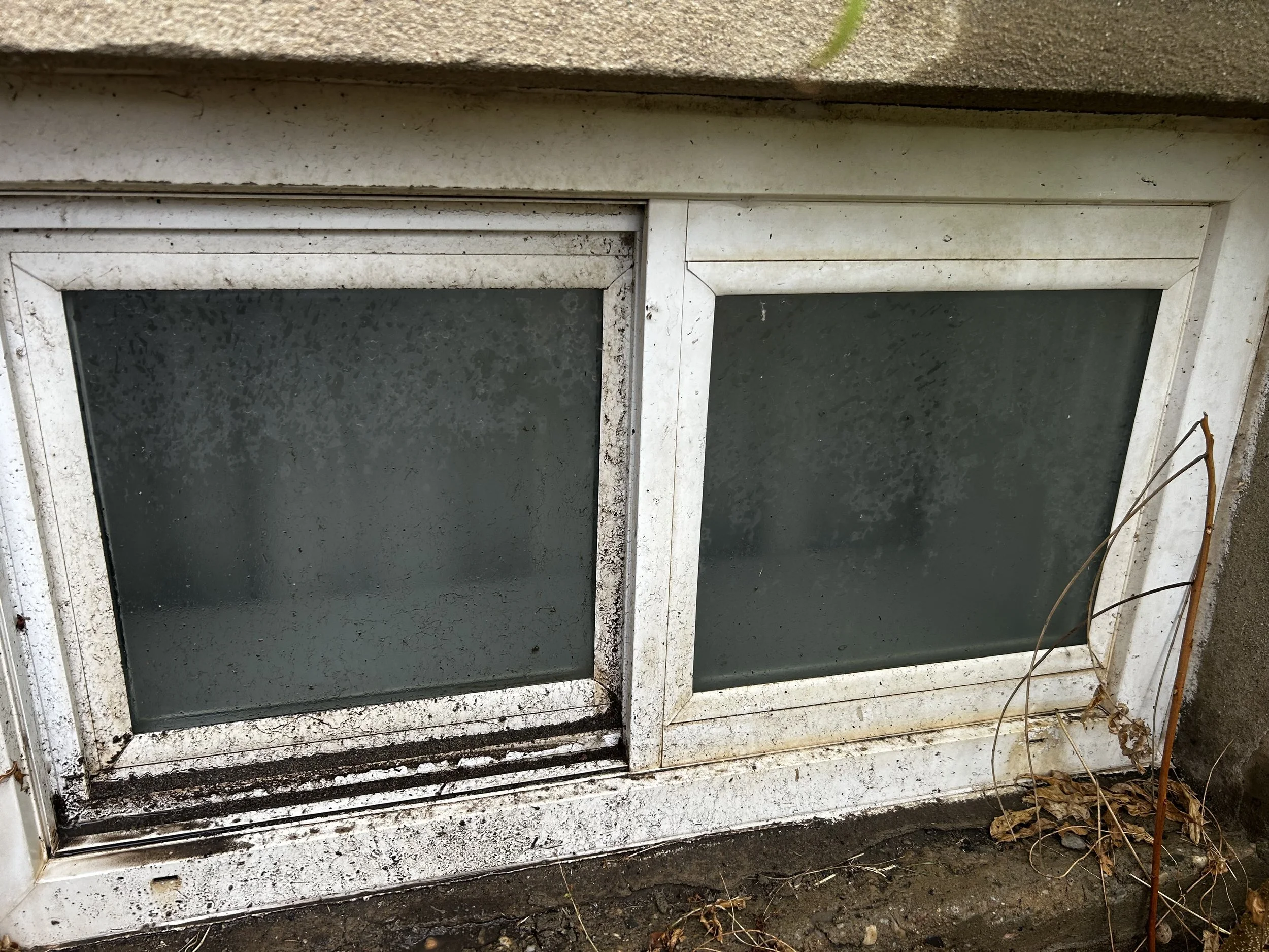 Dirty window before.jpeg