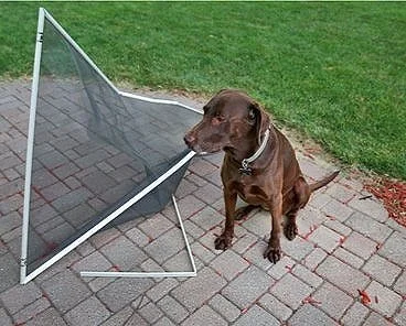 go clear windows website -6.jpg