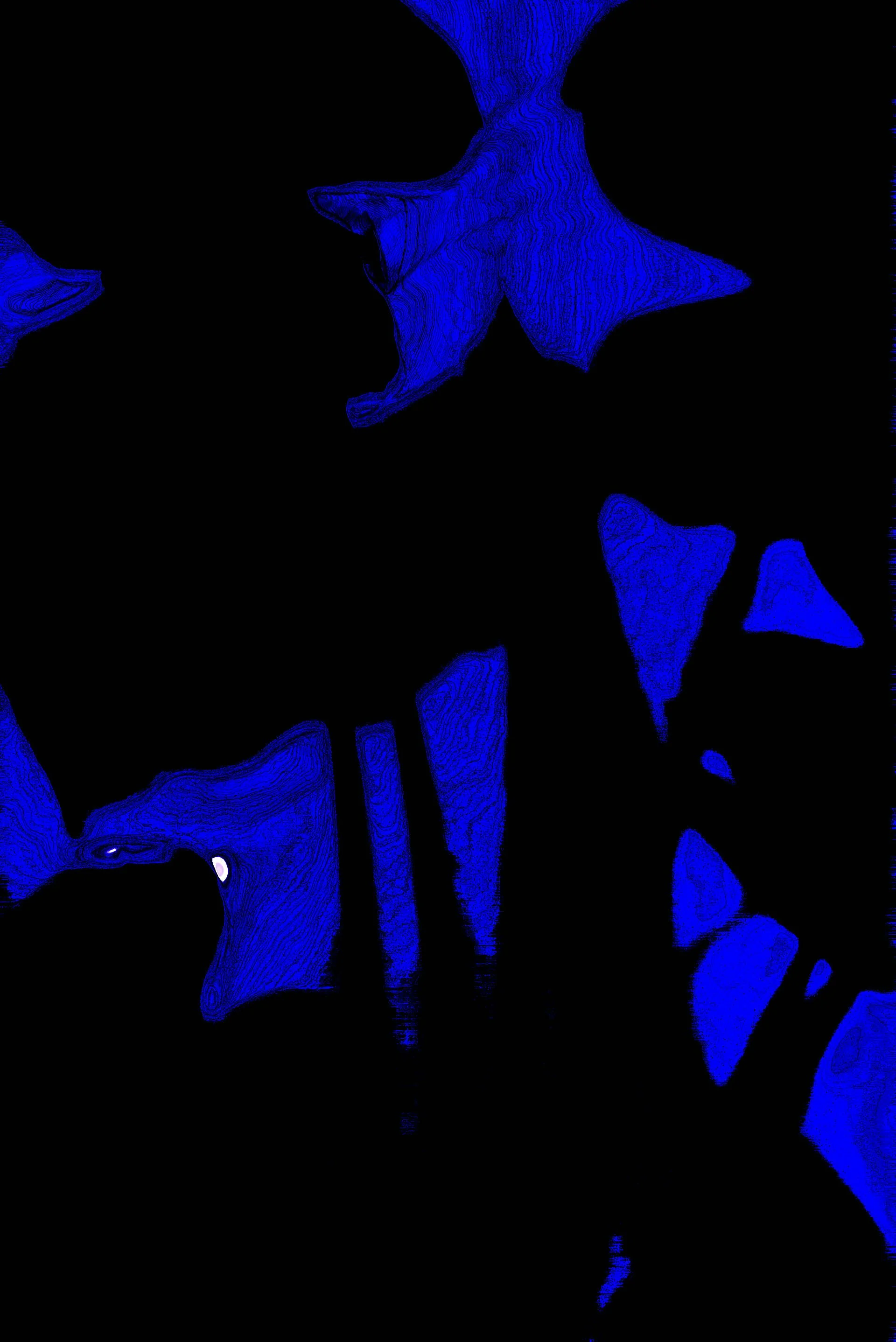 alocasiaEdit copy.jpg