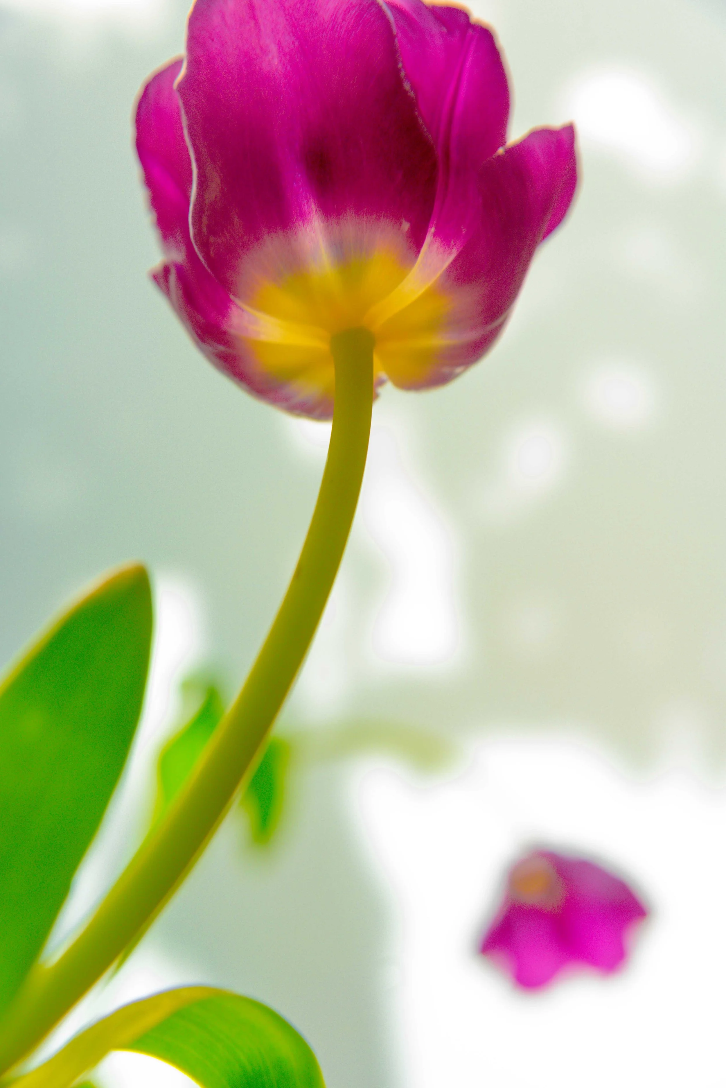 DSC_6827.jpg
