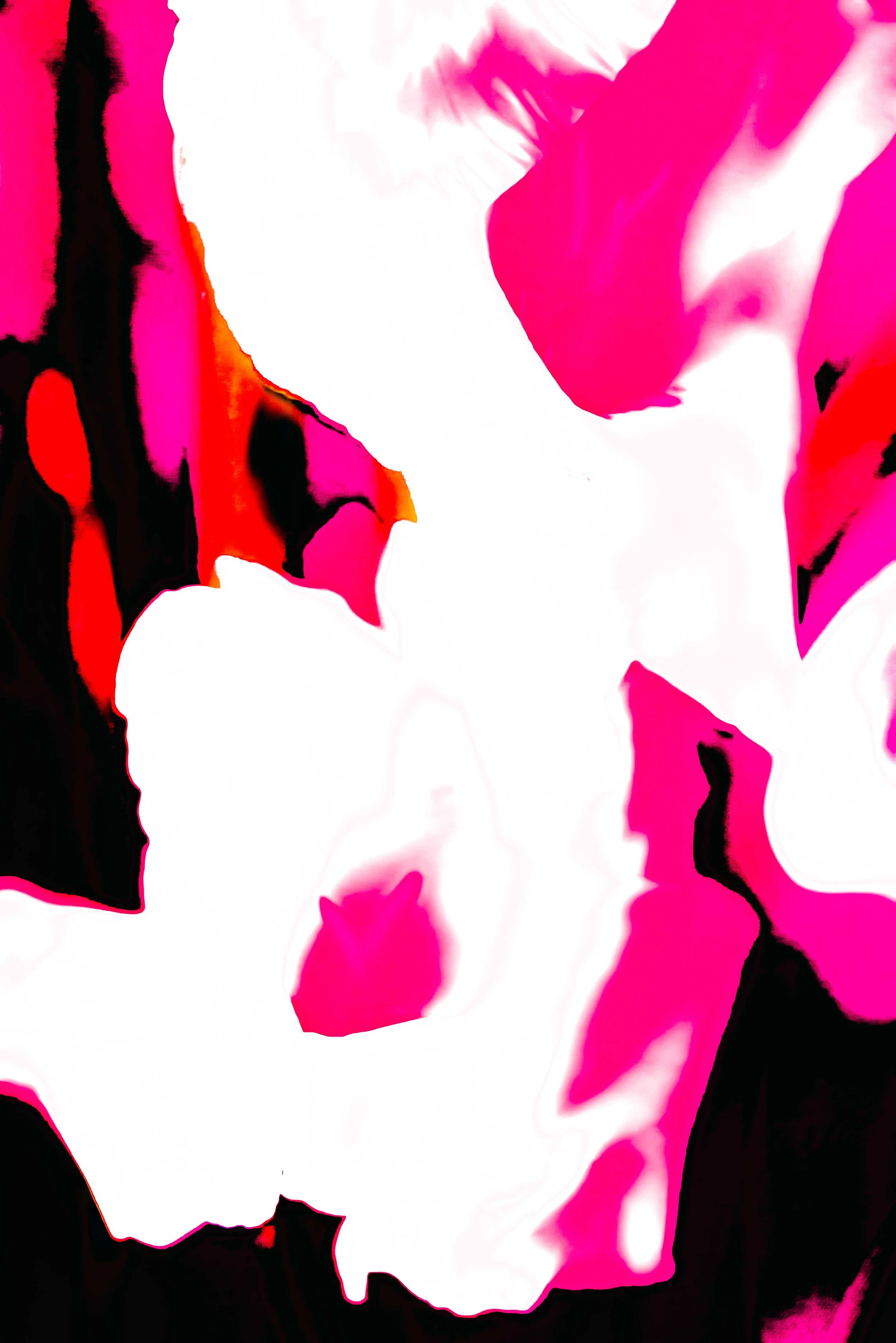 DSC_3133.jpg