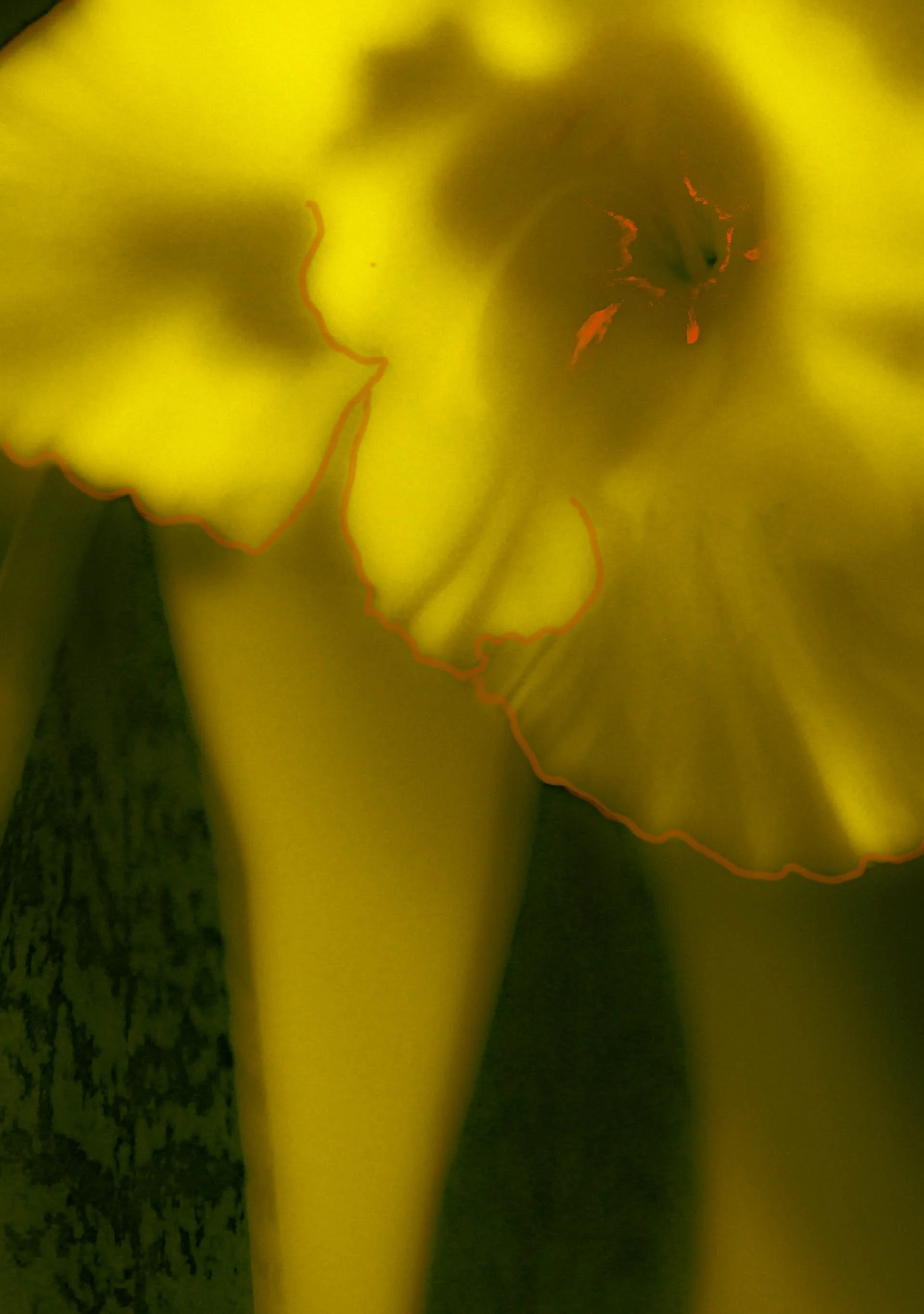glads22-3347-Edit copy.jpg