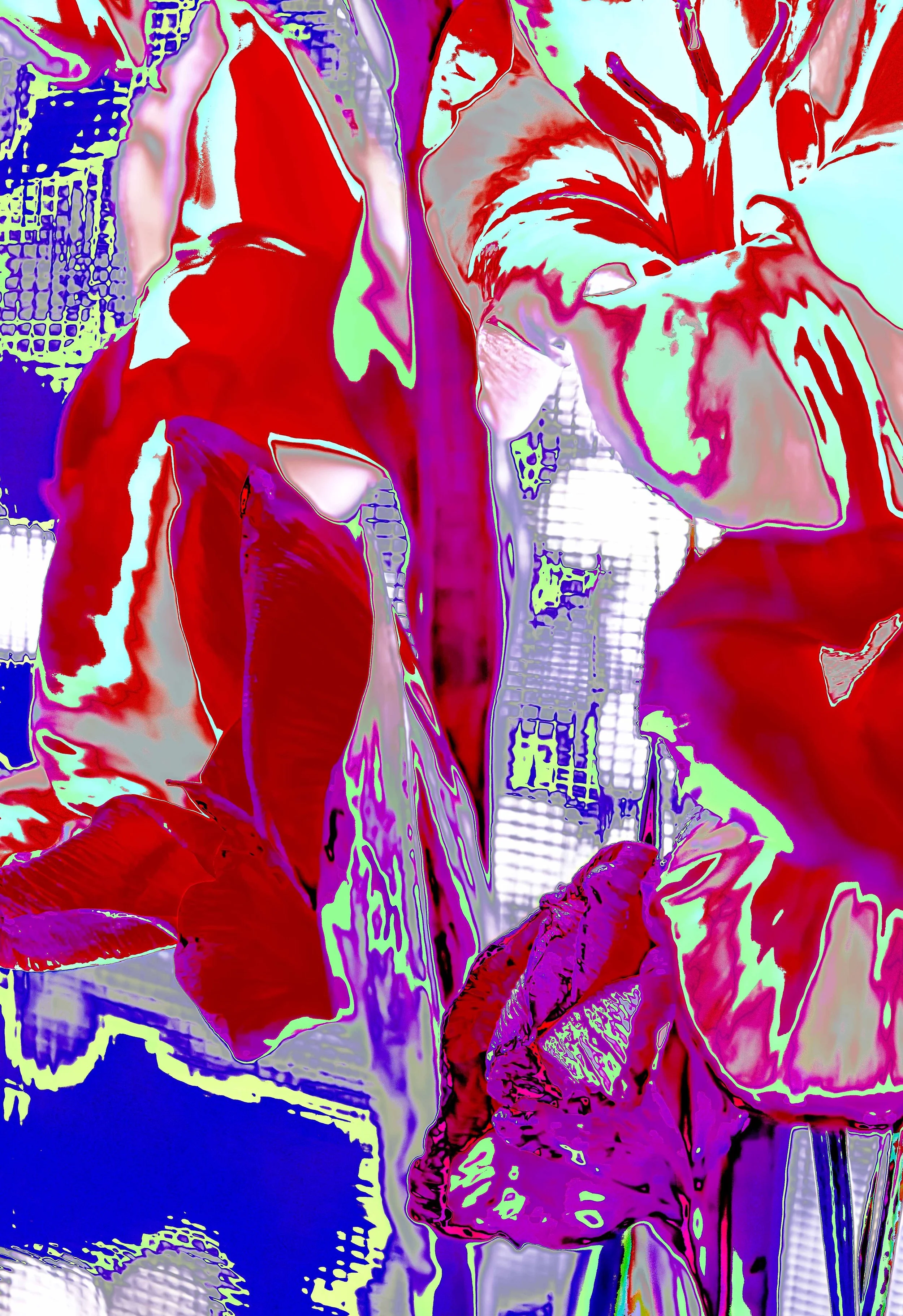 DSC_5146-Edit.jpg