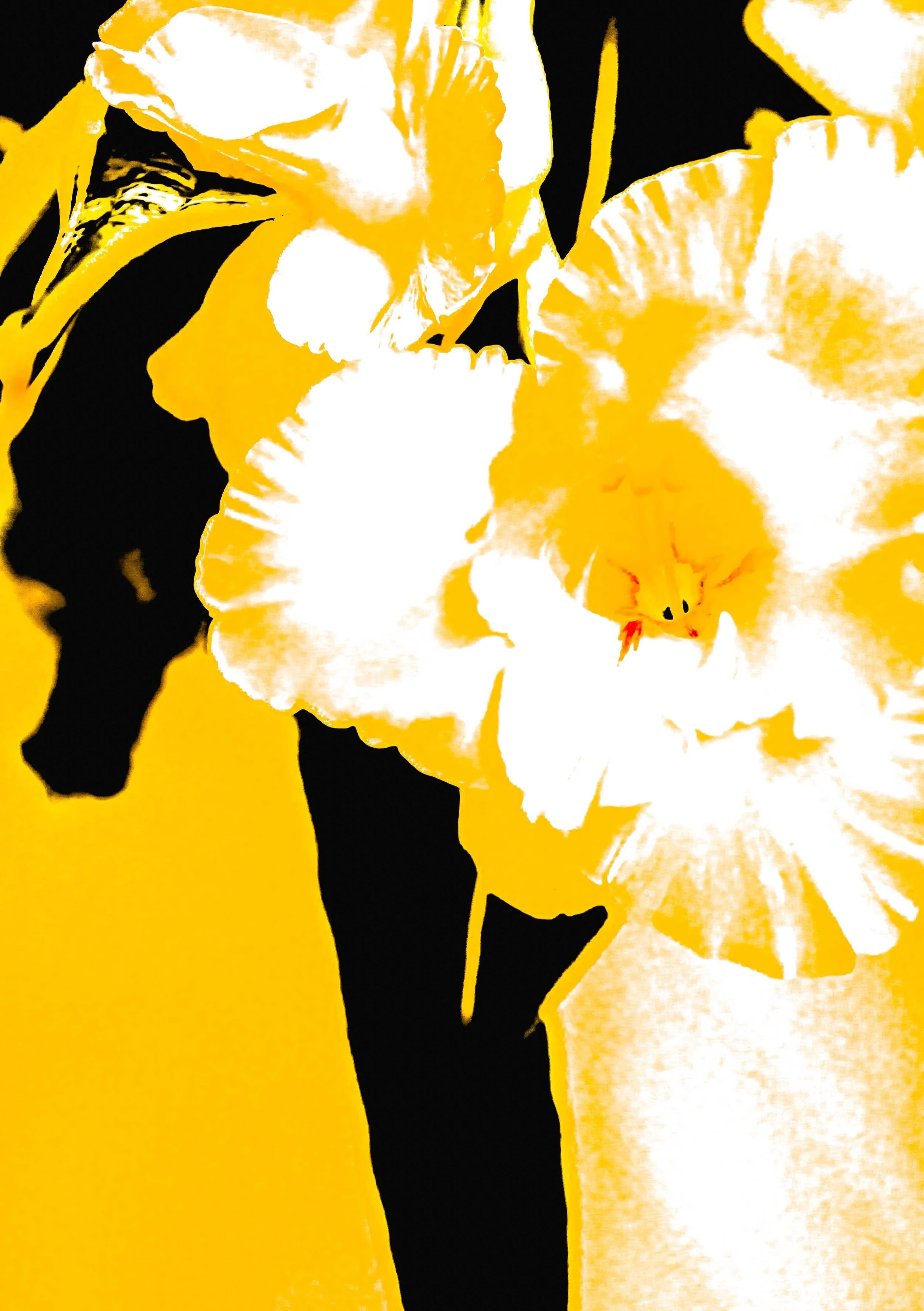 glads22-3344.jpg
