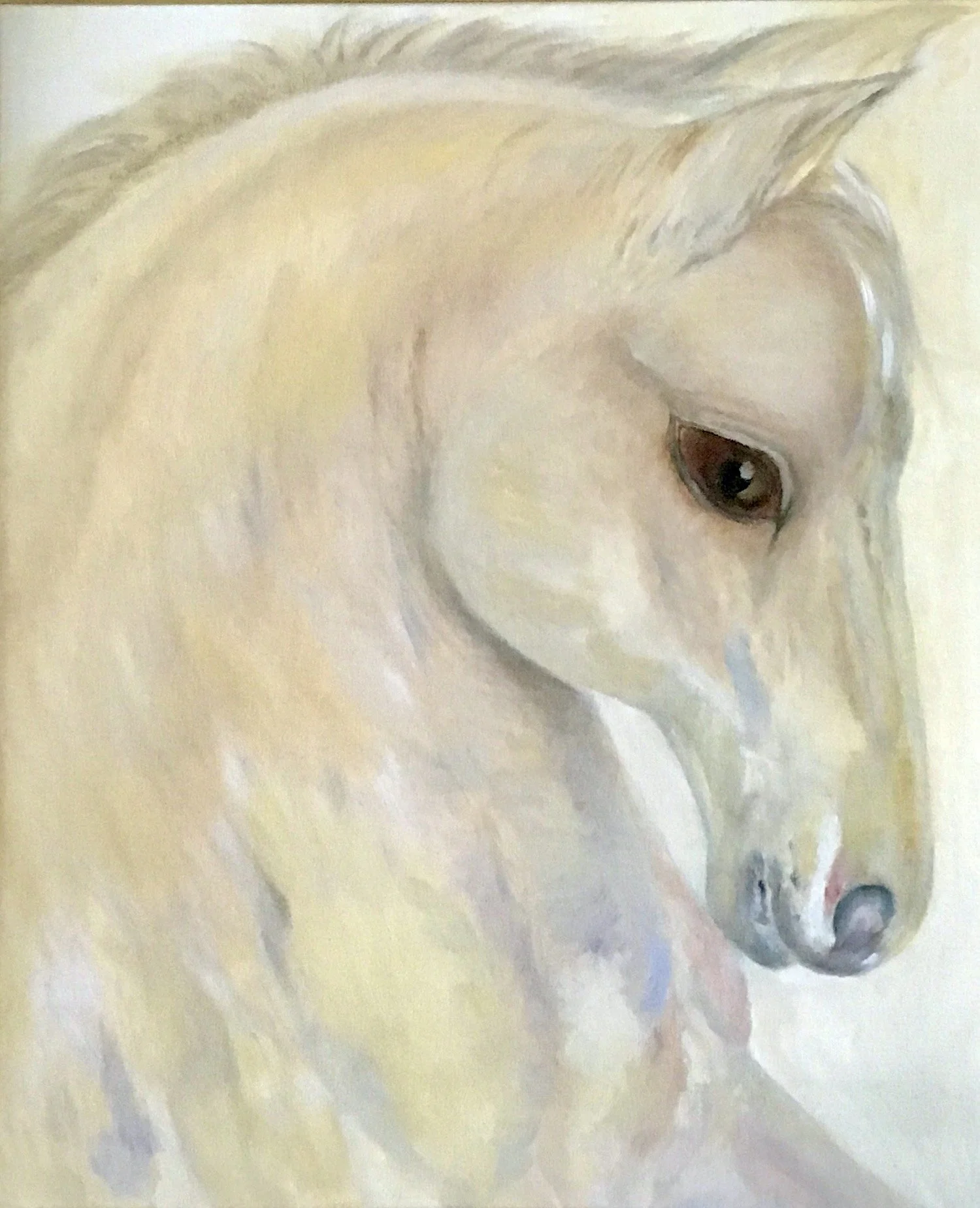 Palomino. Oil on canvas. 20 x 24 in.