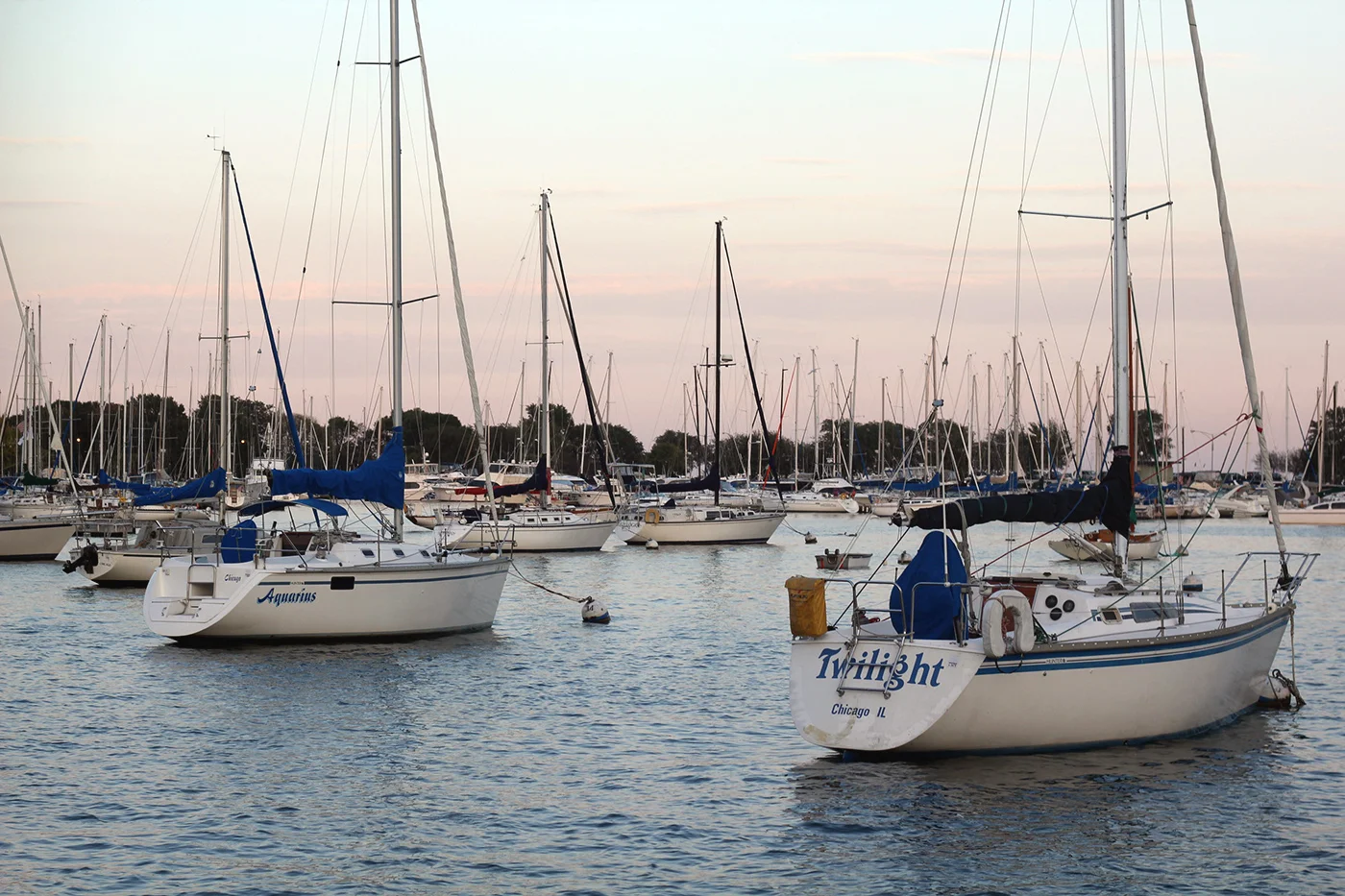 montrose harbor.jpg