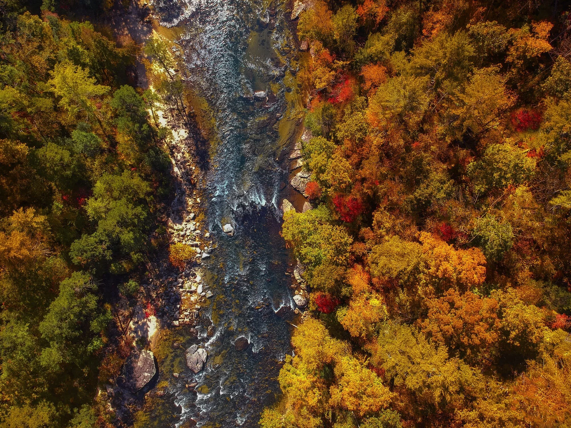 Applied Data Science | Finding Cultural and Entertainment Opportunities in North Carolina