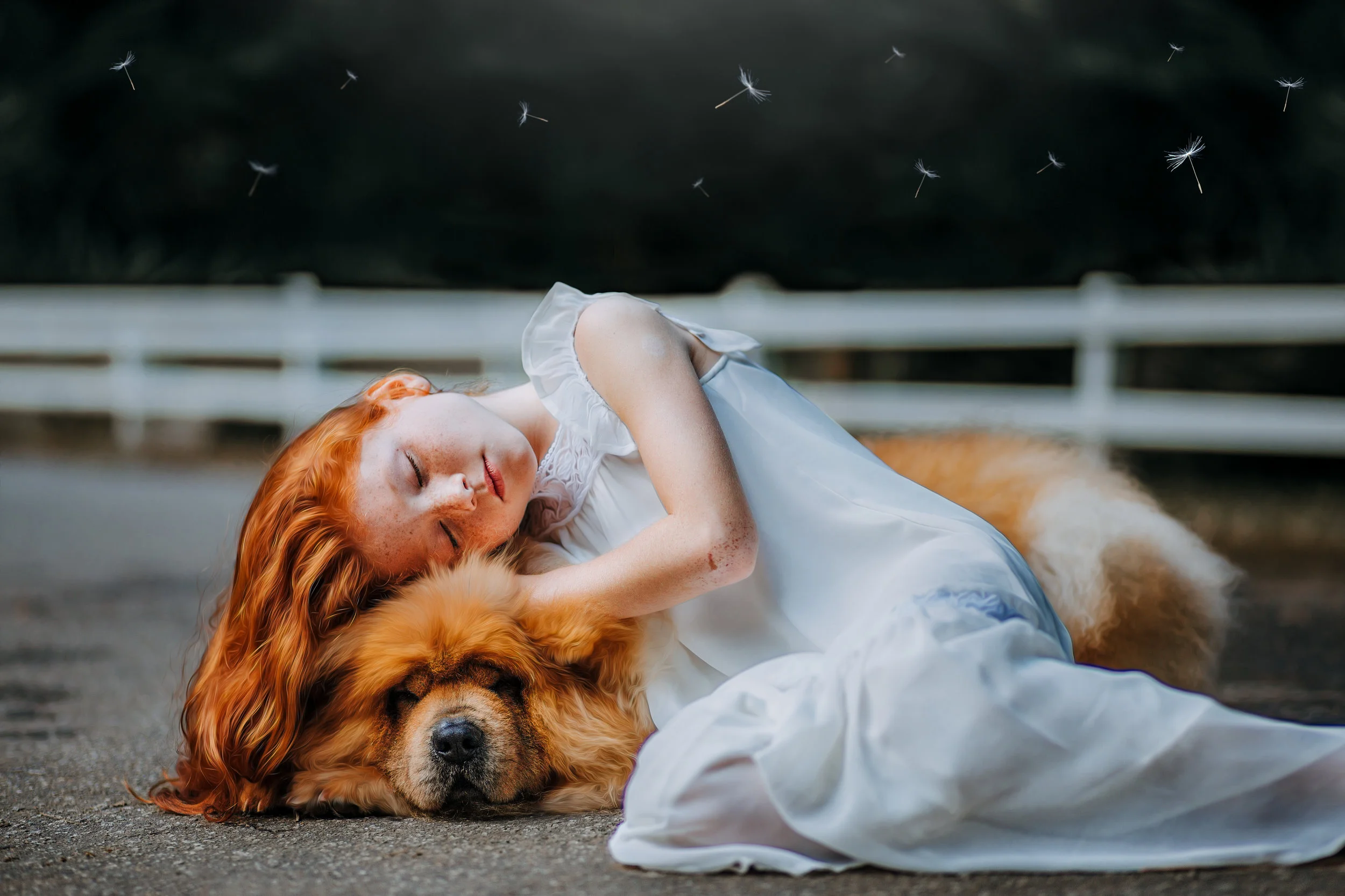 Children may want to be present during their pet's euthanasia, or may want to come and go throughout the process. Following their lead is usually the best policy