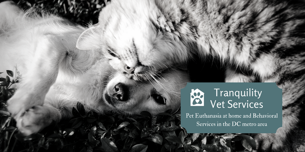 TranquilityVet Services (4).png