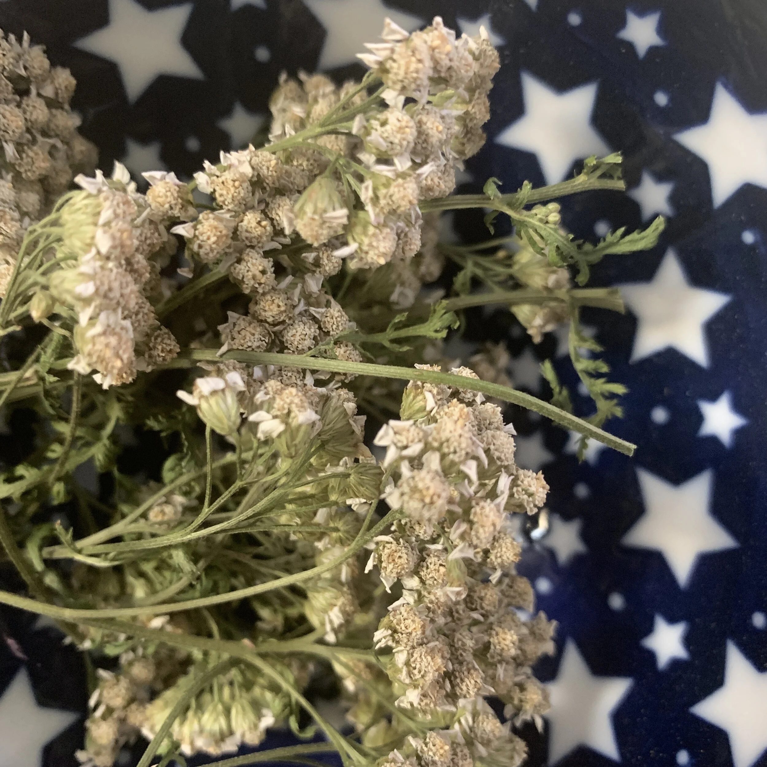 Herbs for mental health