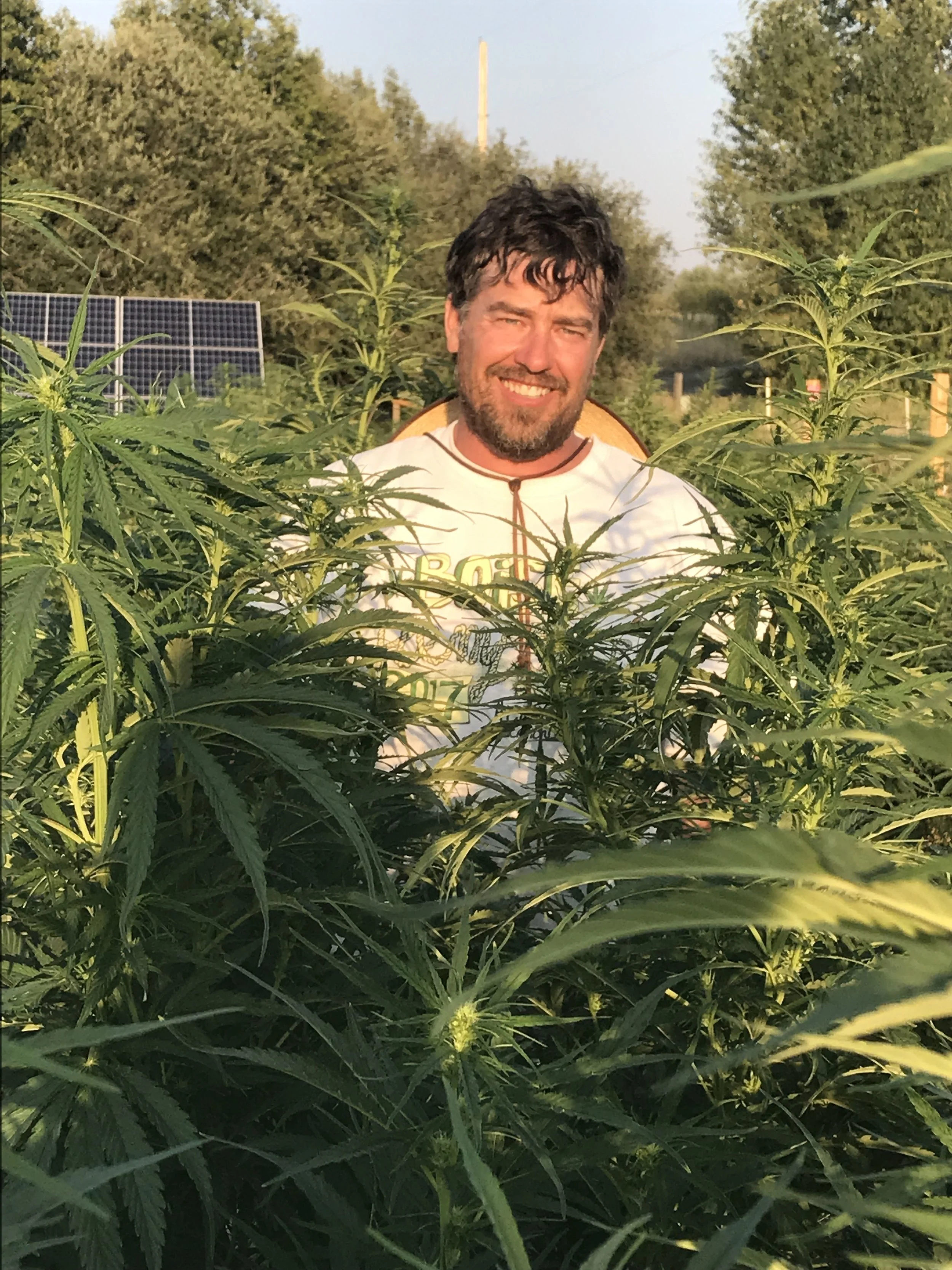 Certified Kind Hemp: Meet Kimball Farms!