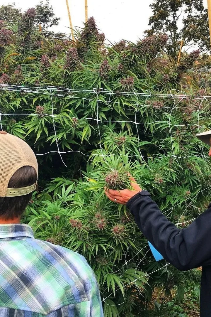 Roganja inspection.jpg