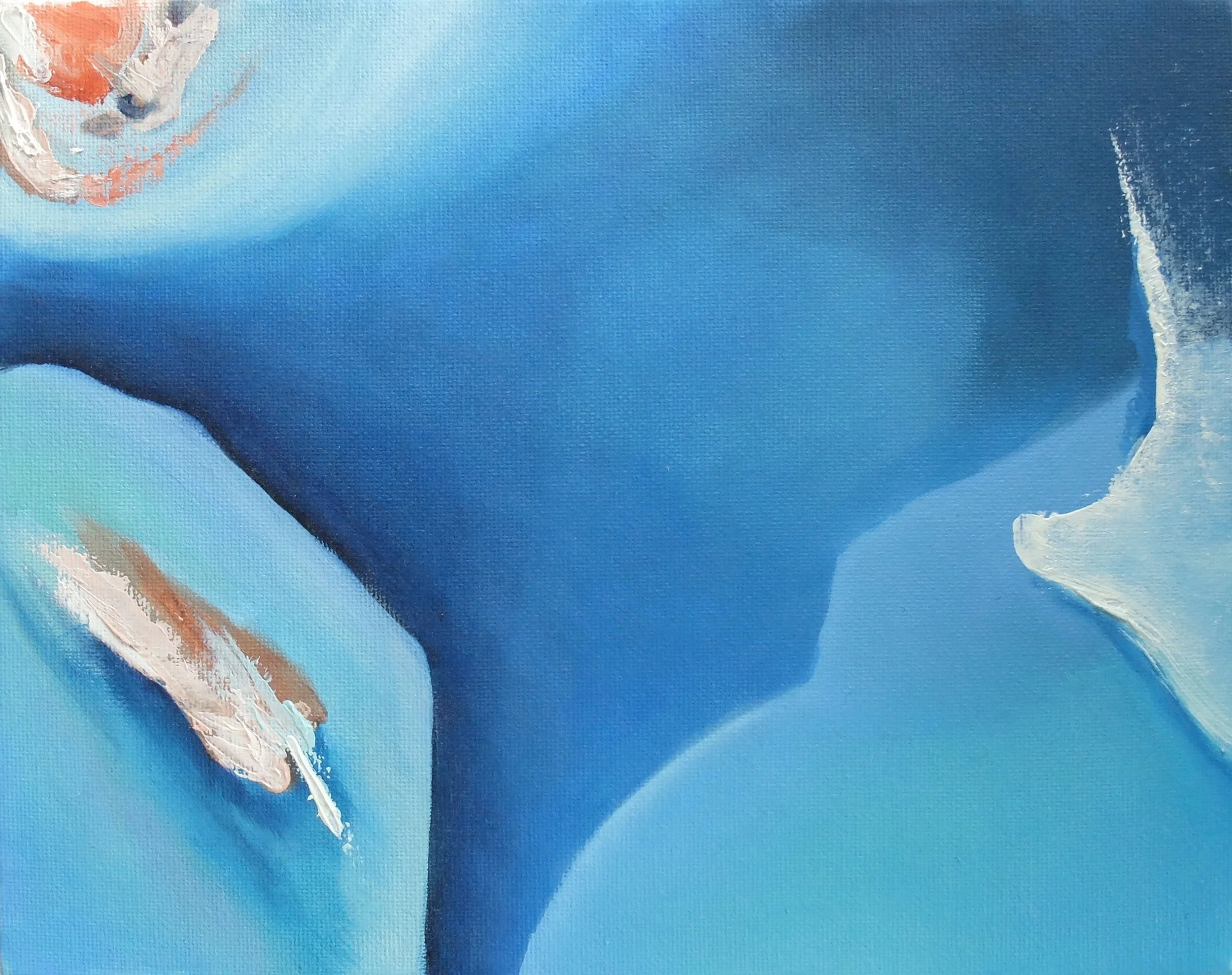 DSCF2852.jpg