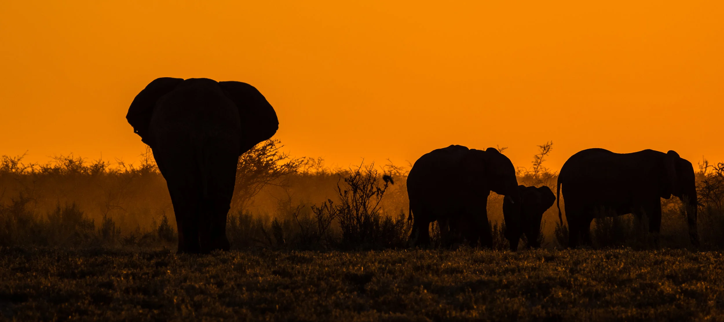 20160524_Namibia_1090.jpg