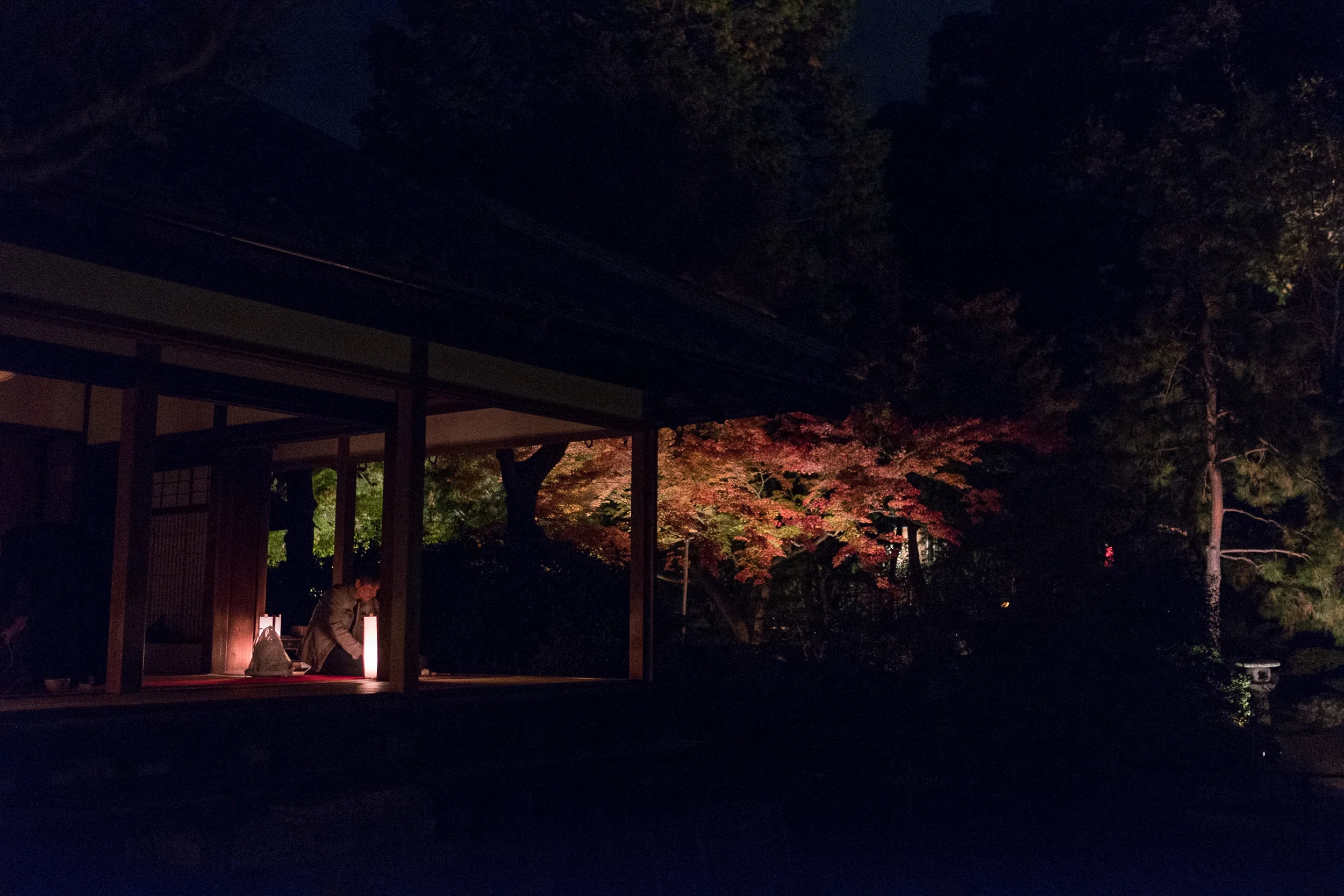 20161118_Kyoto Autumn_2468.jpg